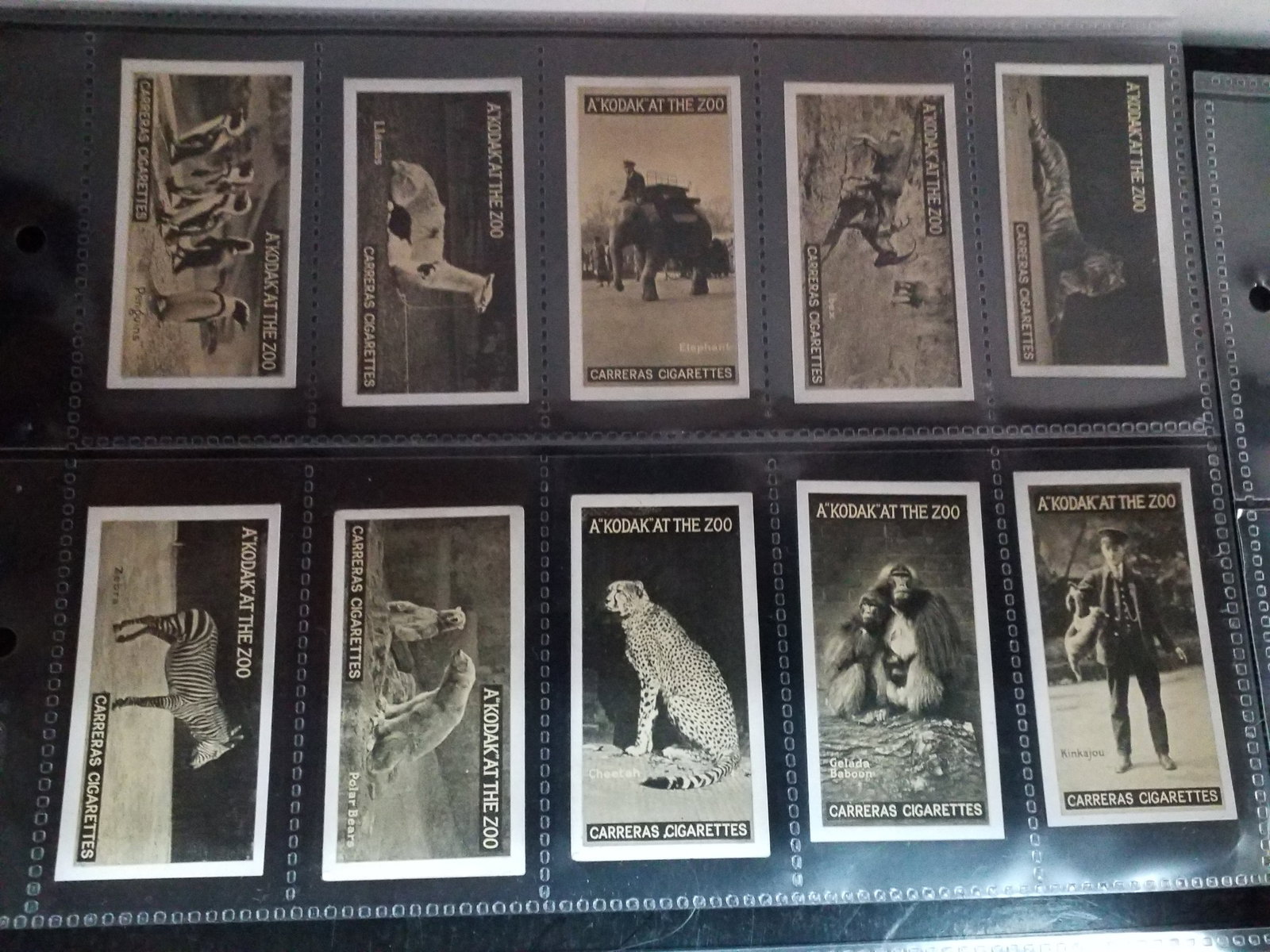 1925 CARRERAS CIGARETTES A "KODAK" AT THE ZOO 50 Real Photo Tobacco cards Near Set 49 of 50: lacks only one to complete the set, near set, Original Complete sheeted set. In protector tobacco cards sheets. In very good condition, Please view pictures below. Many More sets being added to this o