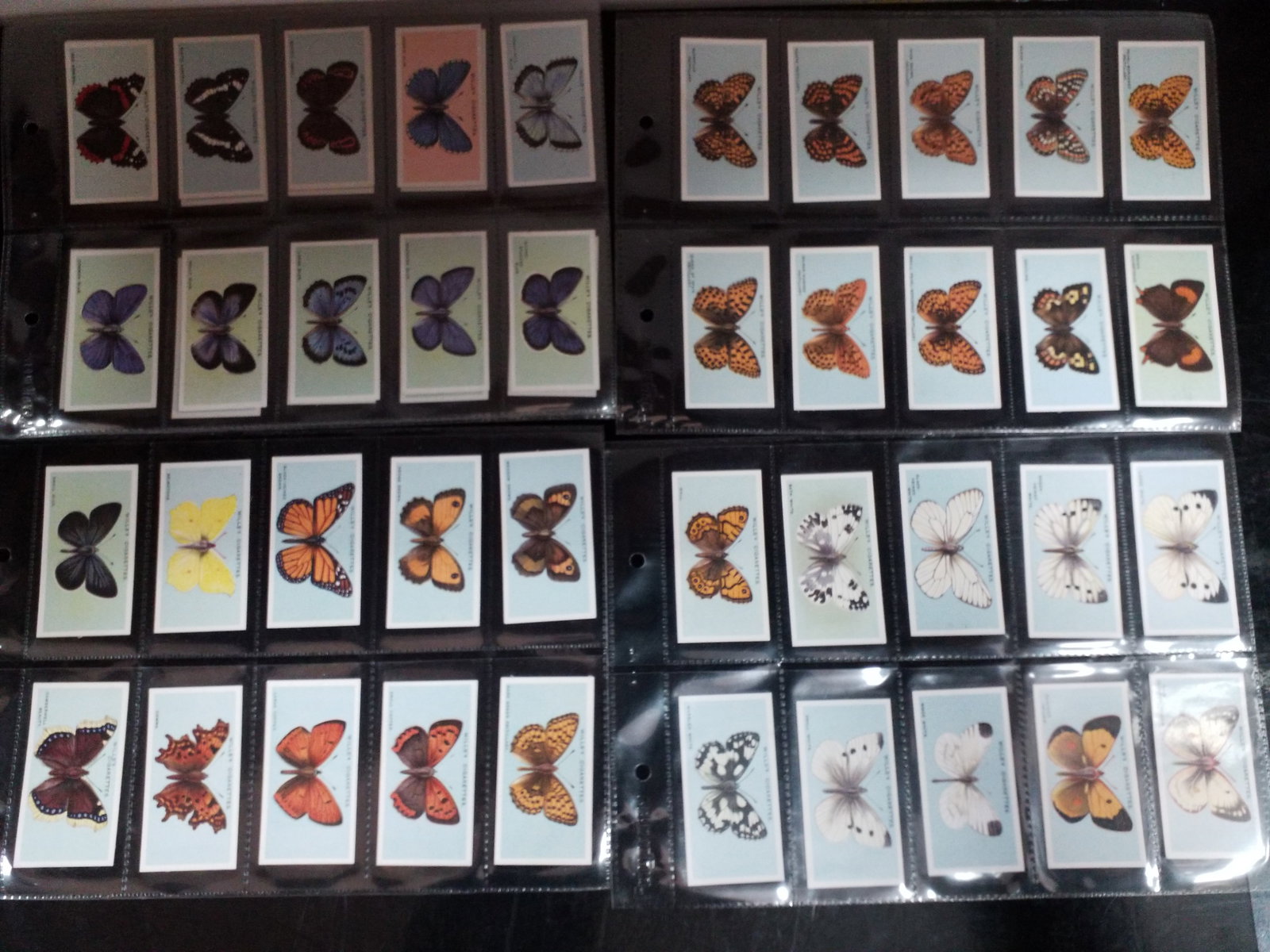 1932 Butterflies 1st series John Player Cigarettes Complete set of 50 Tobacco cards: Original Complete sheeted set. In protector tobacco cards sheets. In very good condition, Please view pictures below. Many More sets being added to this our current sale. Items being added daily right