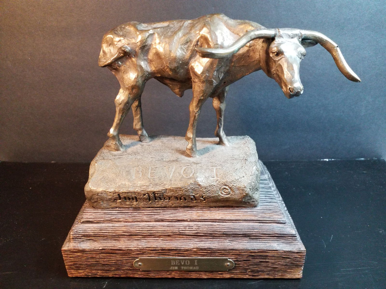 Bevo I by artist Jim Thomas Original Cast BRONZE Longhorn Sculpture on Wooden base (1 of 4)