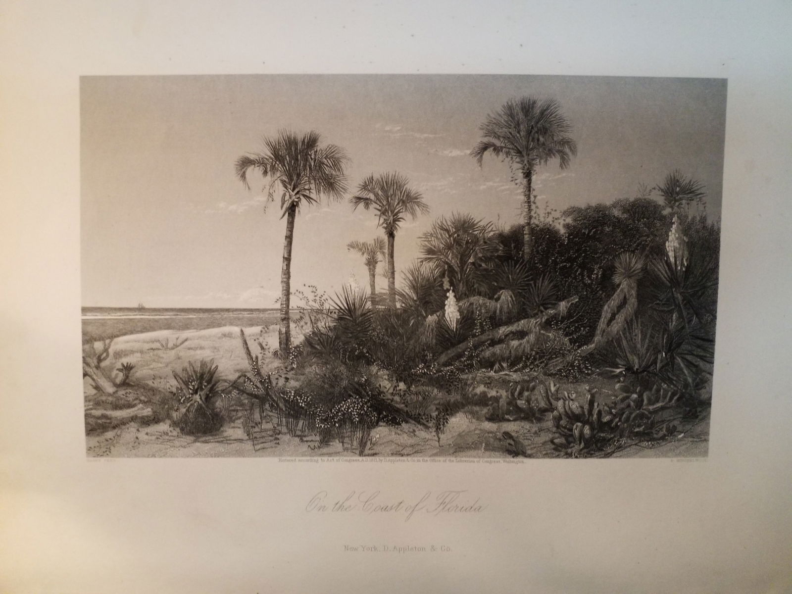 Original 1873 Large Engraving beautiful view of the Coast of Florida: Excellent for Framing, Beautiful Original Steel engraving from an circa. 1873 , book Picturesque America by William Cullen Bryant, D Appleton Co. , Limited Foxing overall bright on original hard stock