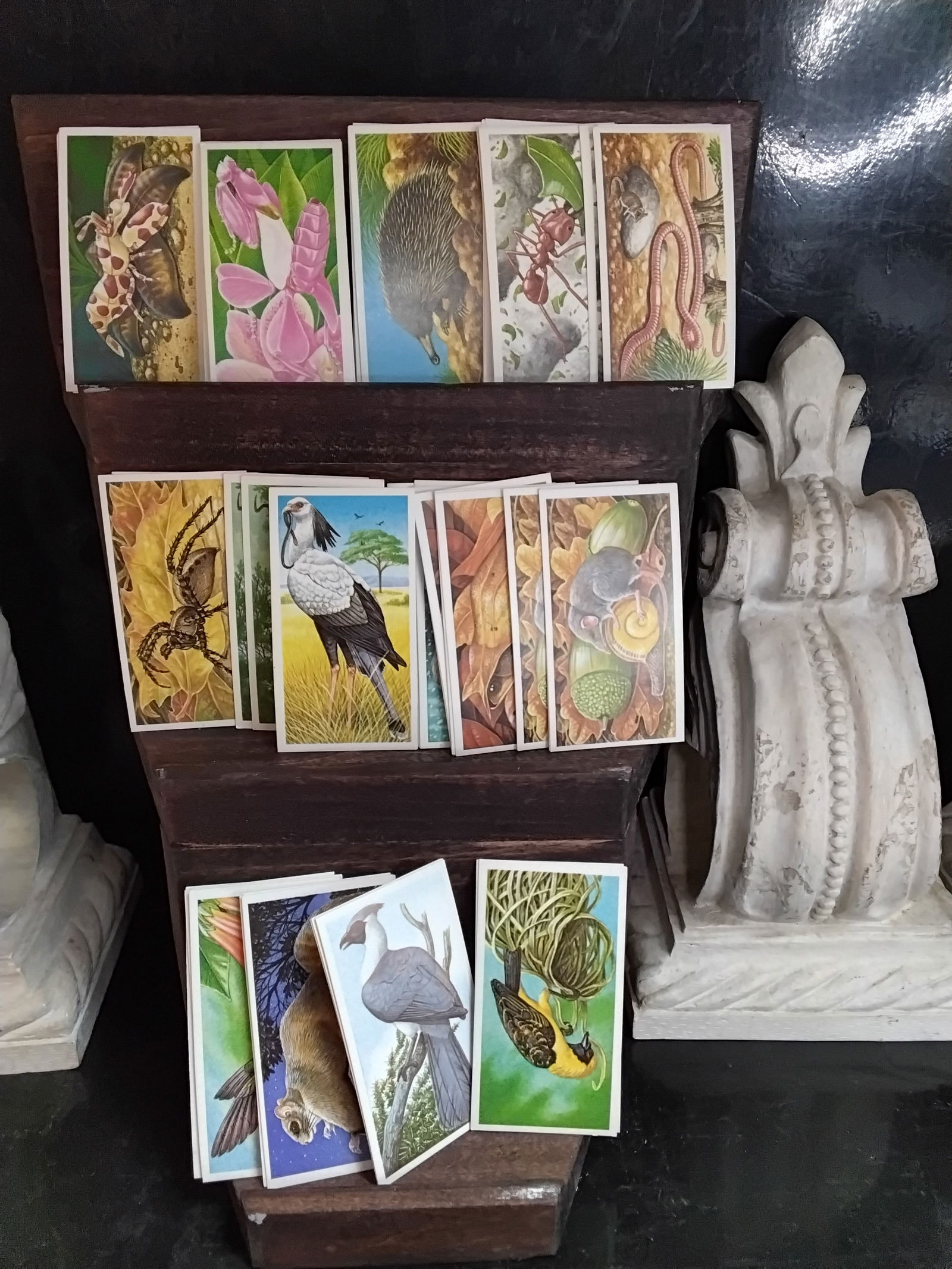 Incredible Creatures Brook Bond Vintage tea cards approx. 40 cards Near Set: In very good condition, Please view pictures below