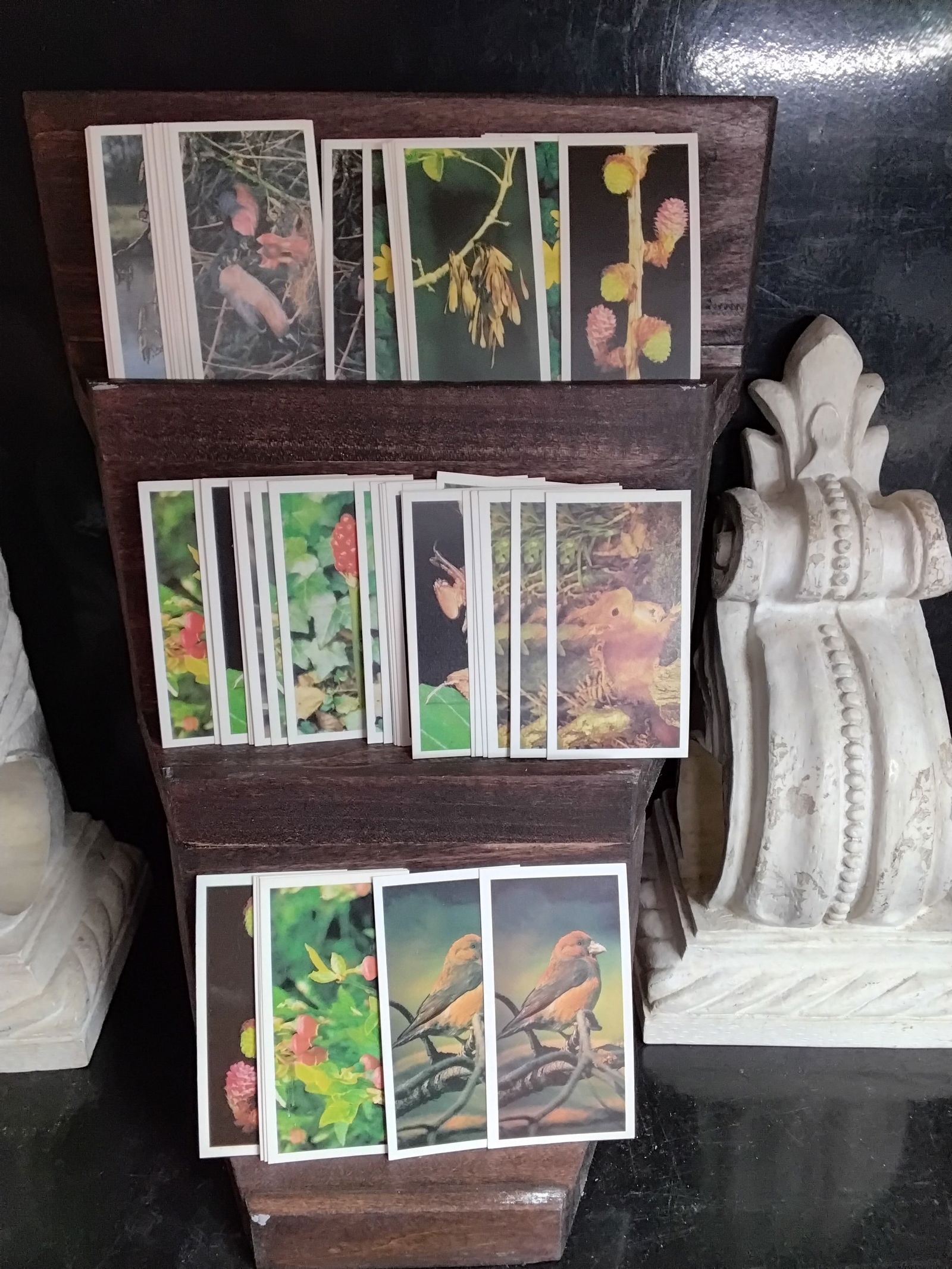 Woodland Wildlife Brook Bond Vintage tea cards approx. 40 cards Near Set: In very good condition, Please view pictures below