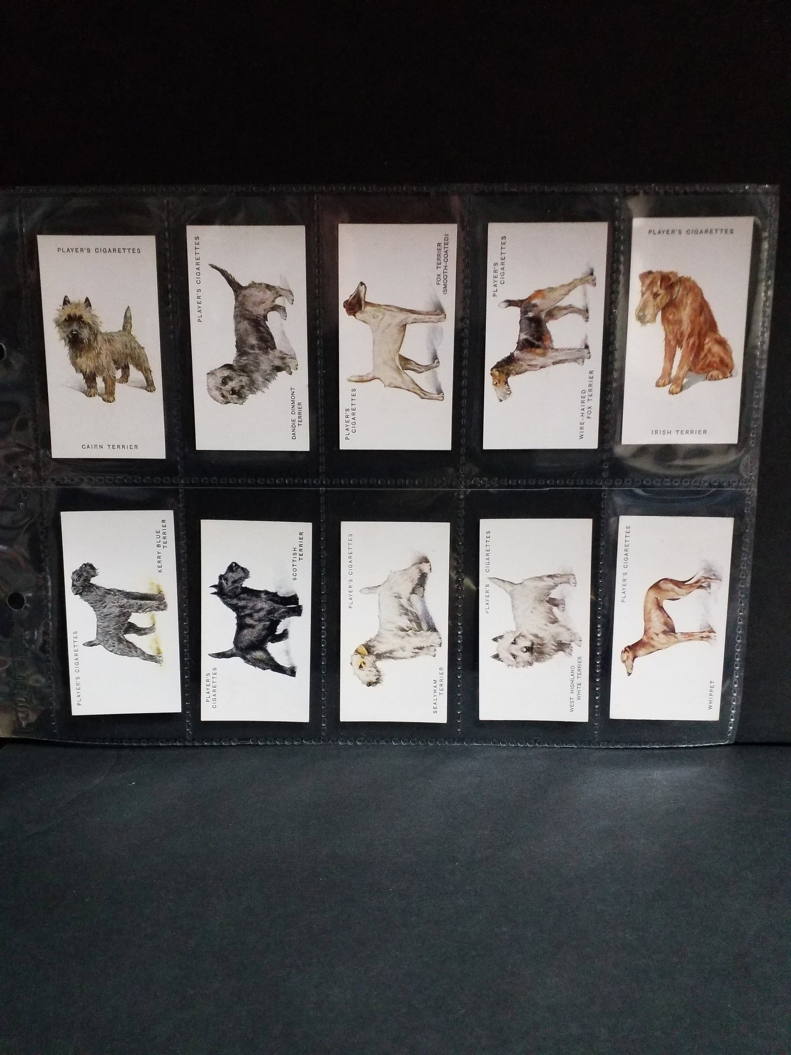 1938 Original Tobacco Cards CIGARETTE CARDS Player Tobacco DOGS complete set of 50 cardds (1 of 6)