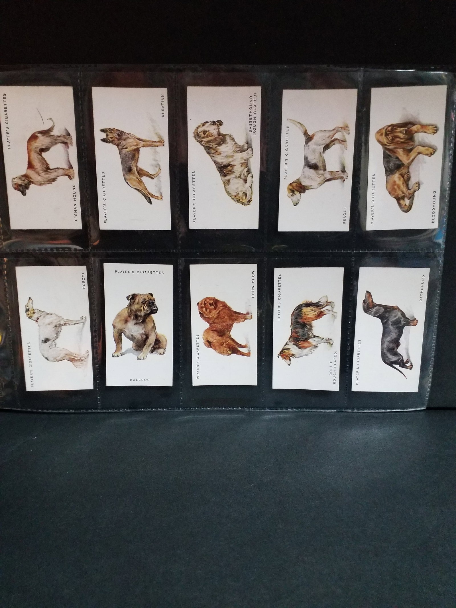 PLAYERS DOG SERIES CIGARETTE CARDS complete SET of 50 cards (1 of 7)
