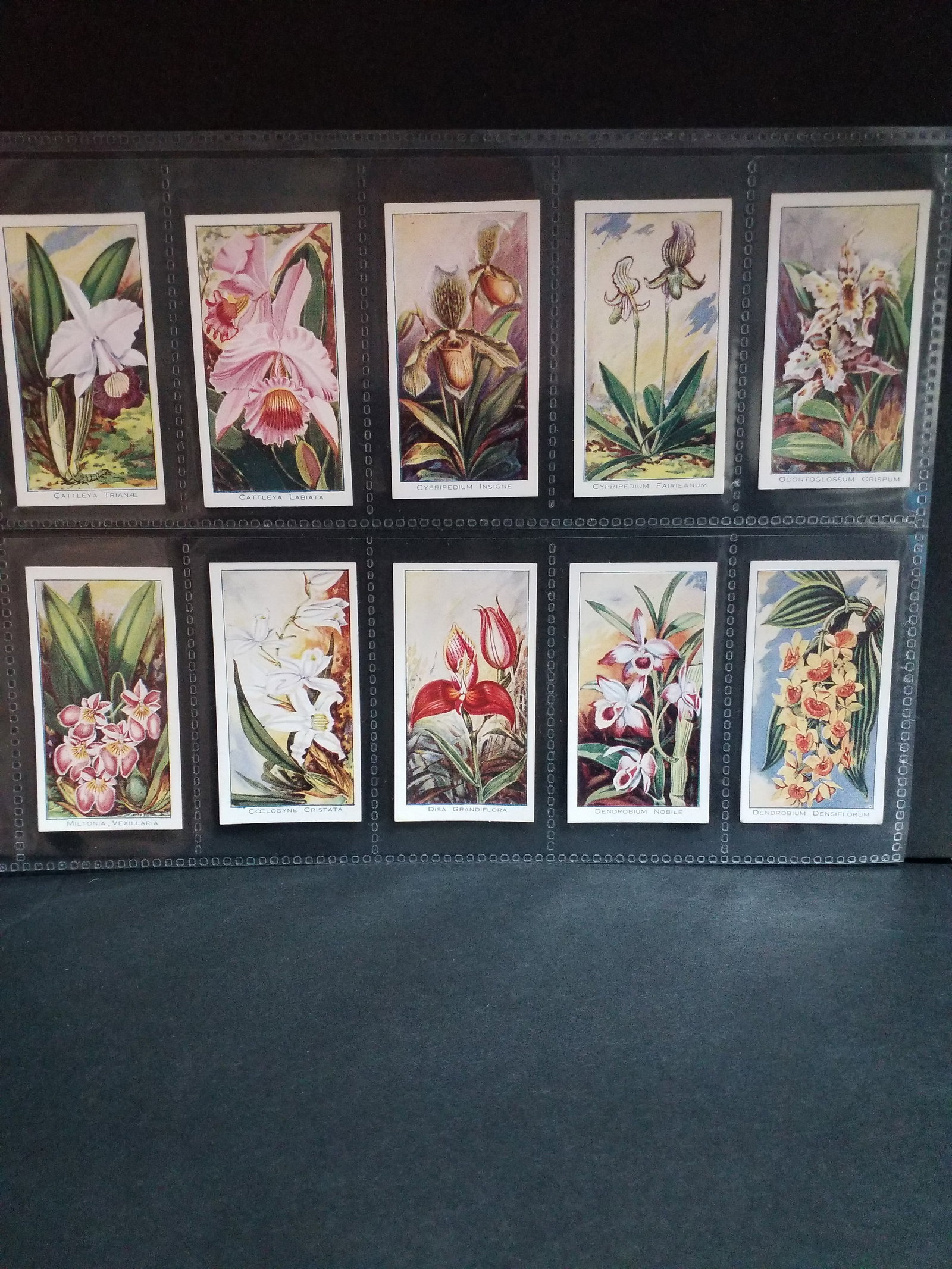 CIGARETTE CARD SET Carreras Tobacco ORCHIDS 1925 Set of 25 cards (1 of 4)