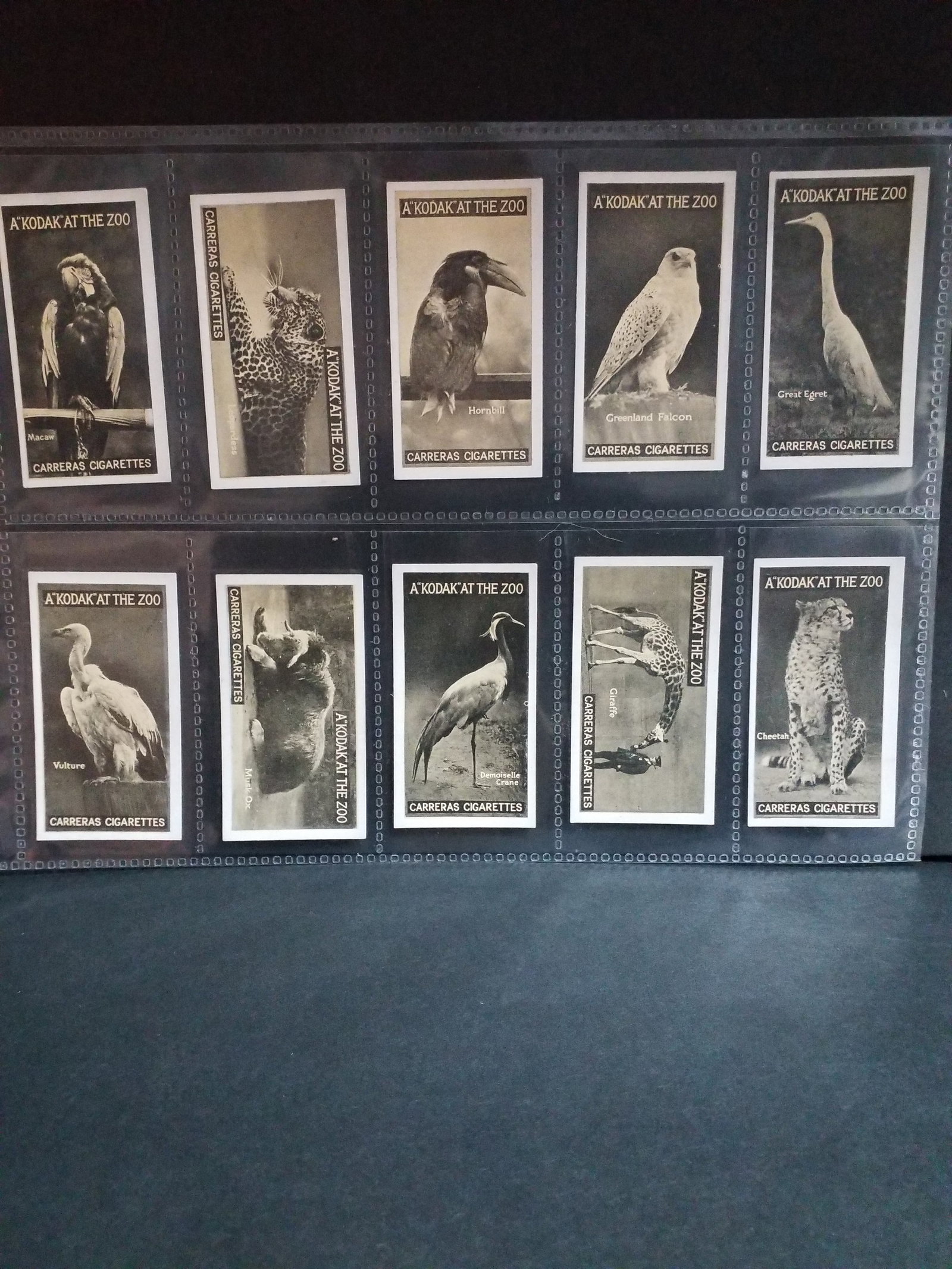 1925 CARRERAS CIGARETTES A "KODAK" AT THE ZOO 50 Real Photo Tobacco cards Near Set 49 of 50 (1 of 6)