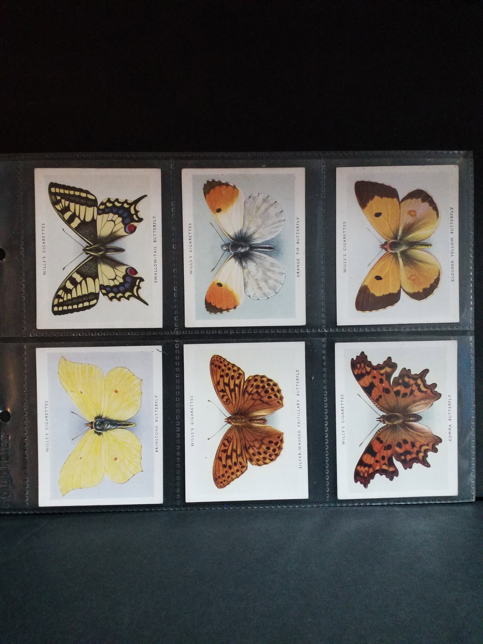 1938 Wills Cigarettes Butterflies and Moths COMPLETE SET OF 40 CIGARETTE CARDS large format (1 of 9)