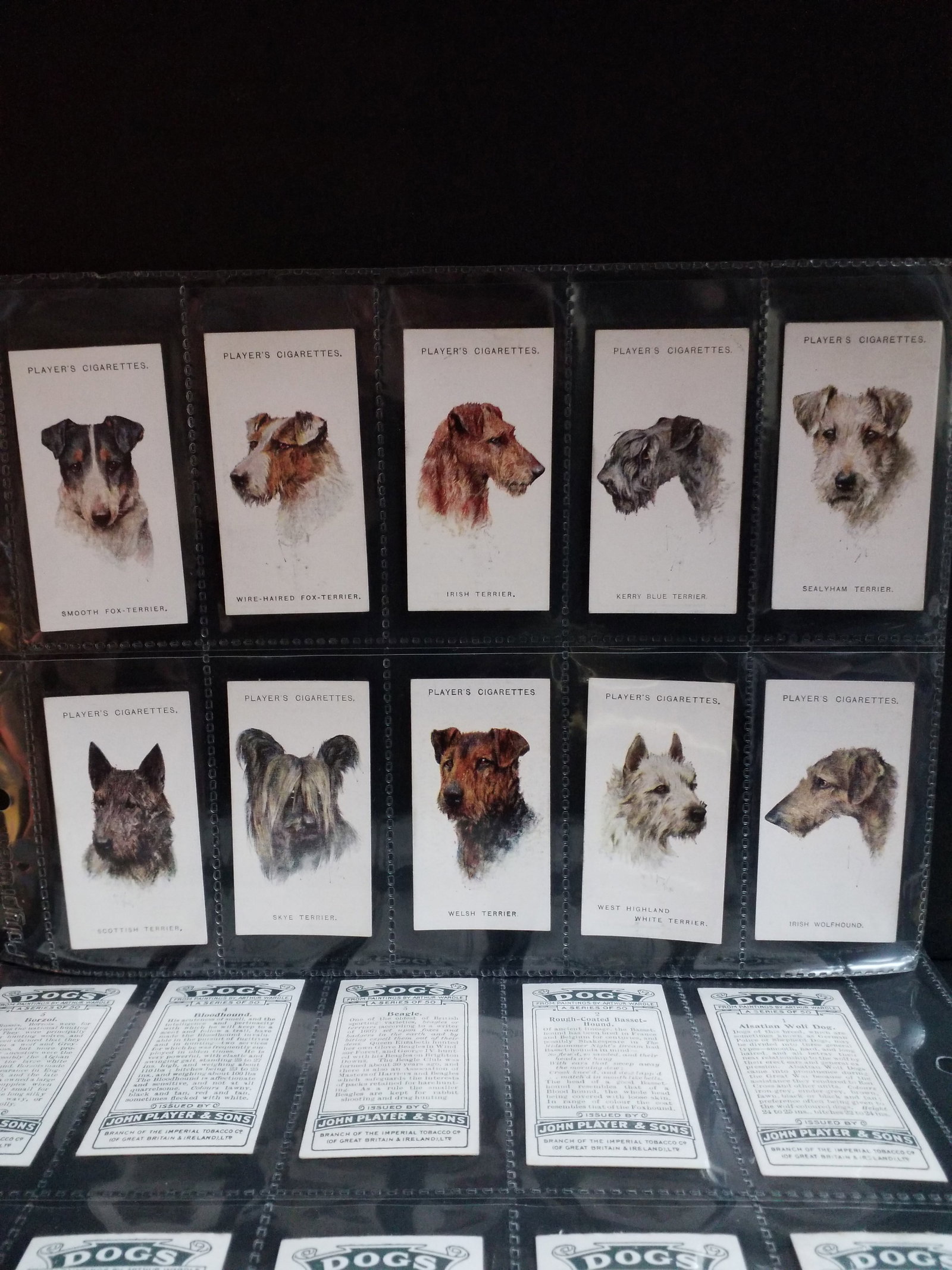 1939 DOGS From paintings by Arhur Wardle John Player Cigarettes Complete SET of 50 Tobacco cards (1 of 7)
