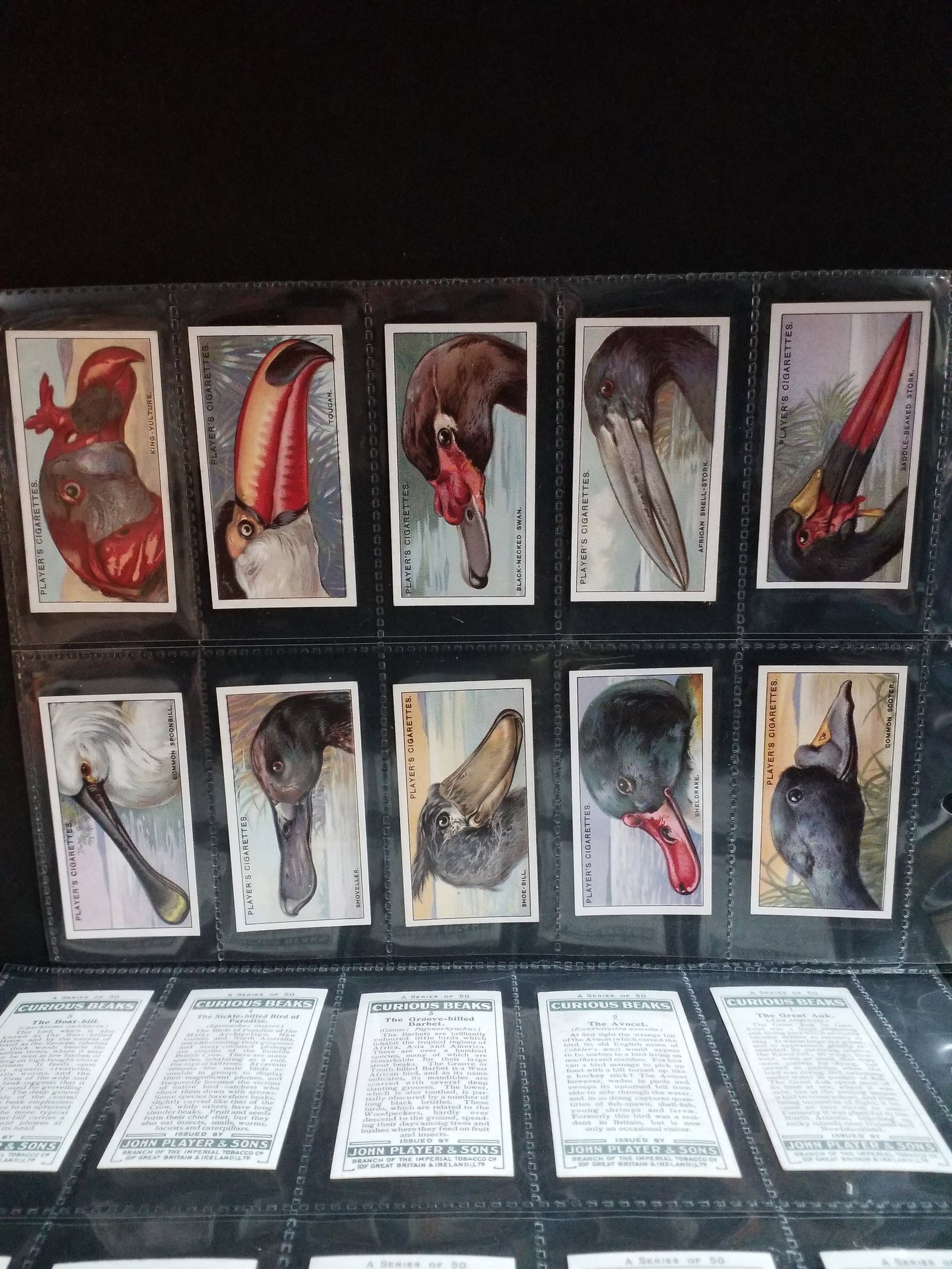 Curious Beaks JOHN PLAYERS & SONS 1929 SET Complete SET of 50 Tobacco cards (1 of 5)