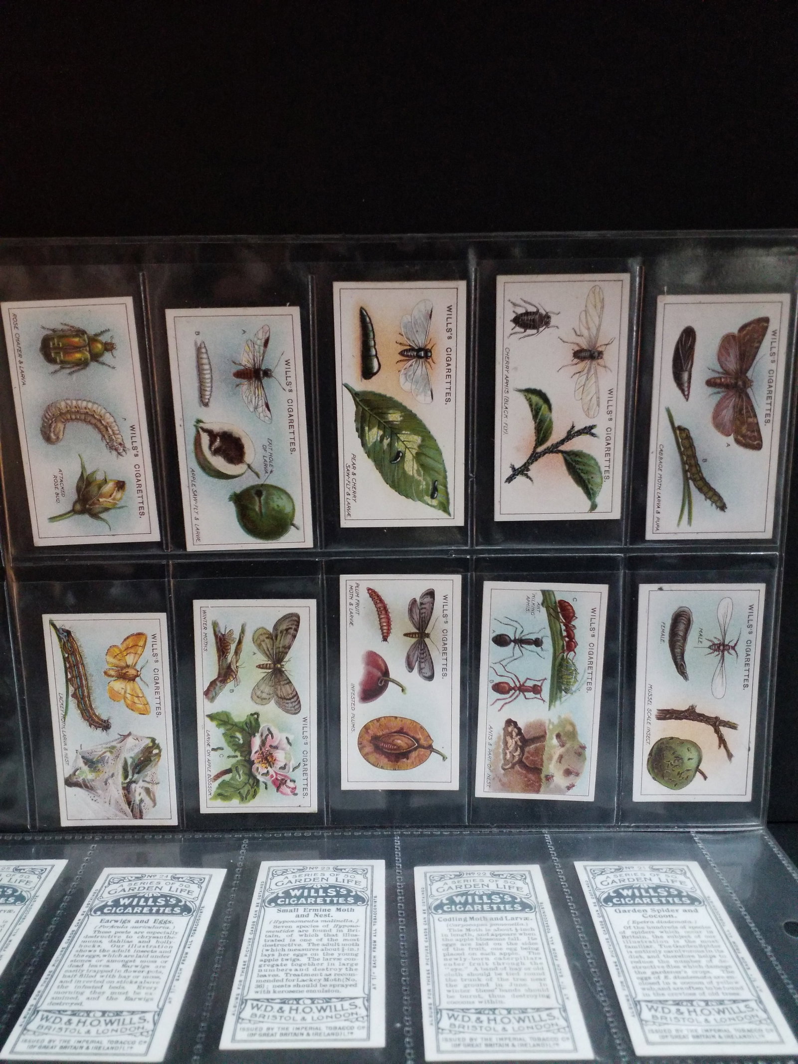 1914 "A" Series of Garden Life Wills Cigarette cards Tobacco cards 49 cards of 50 Near set (1 of 4)