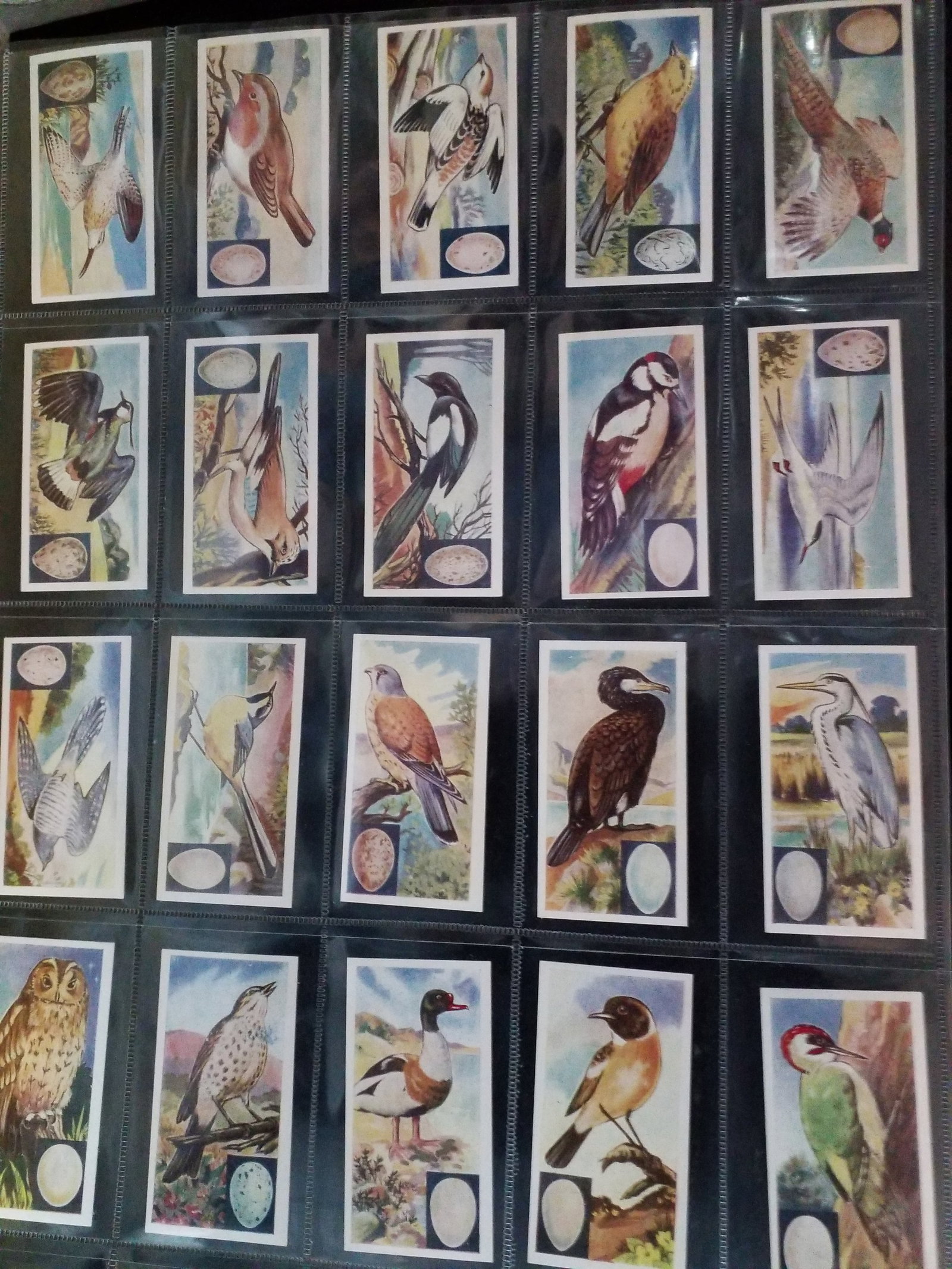 Barratt BIRDS 1960 Complete Original 25 cards Confectionary Gum Cards Set (1 of 4)