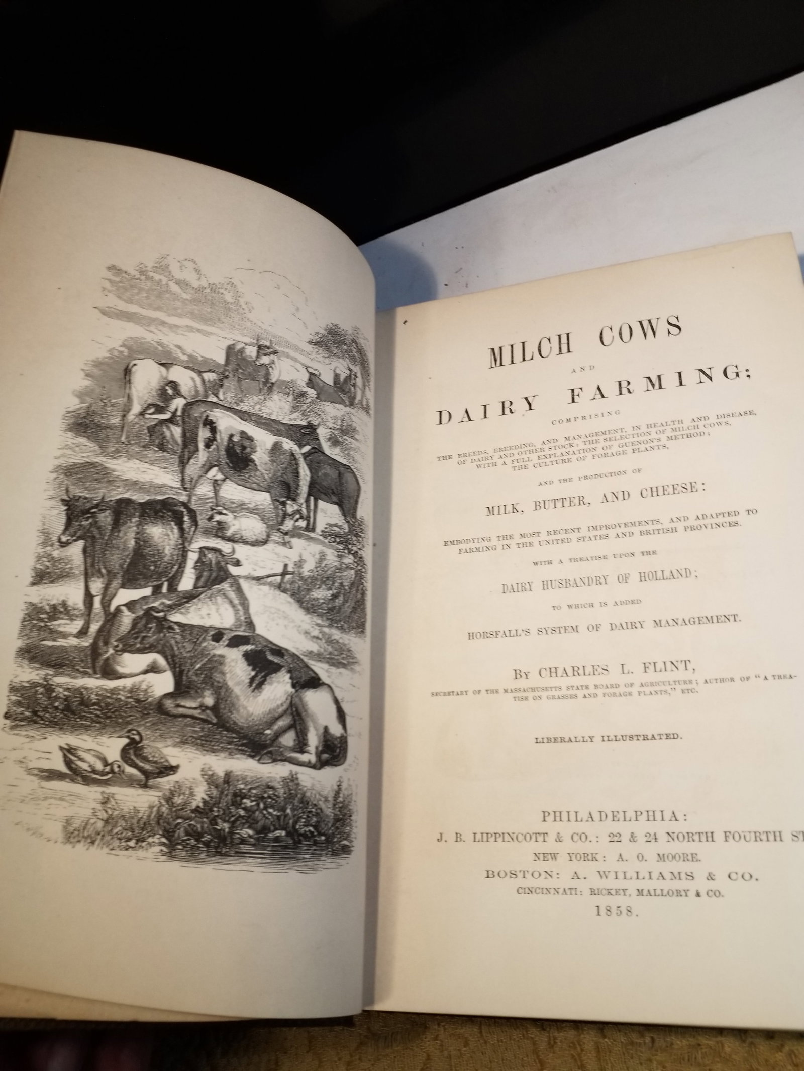 1858 1st edition of Milch Cows and Dairy Farming by Charles L. Flint illustrated (1 of 8)
