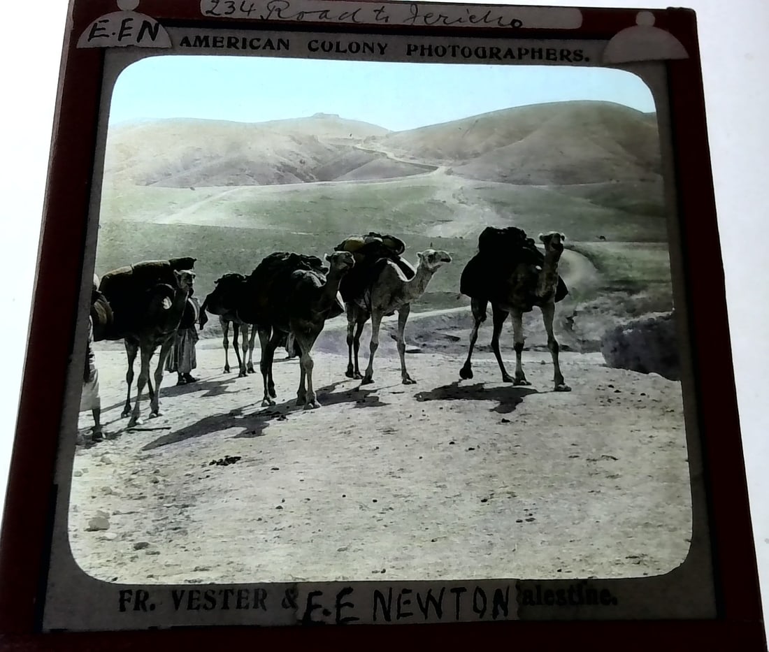 Road to Jericho Camels 1880s-Early 1900s color Magic Lantern Slide Identified (1 of 1)