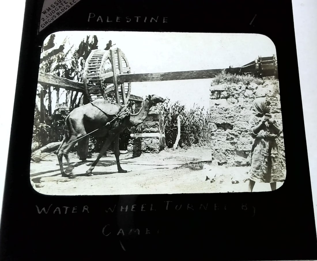 Water Wheel turned by Camel Palestine 1880s-Early 1900s Magic Lantern Slide Identified (1 of 1)