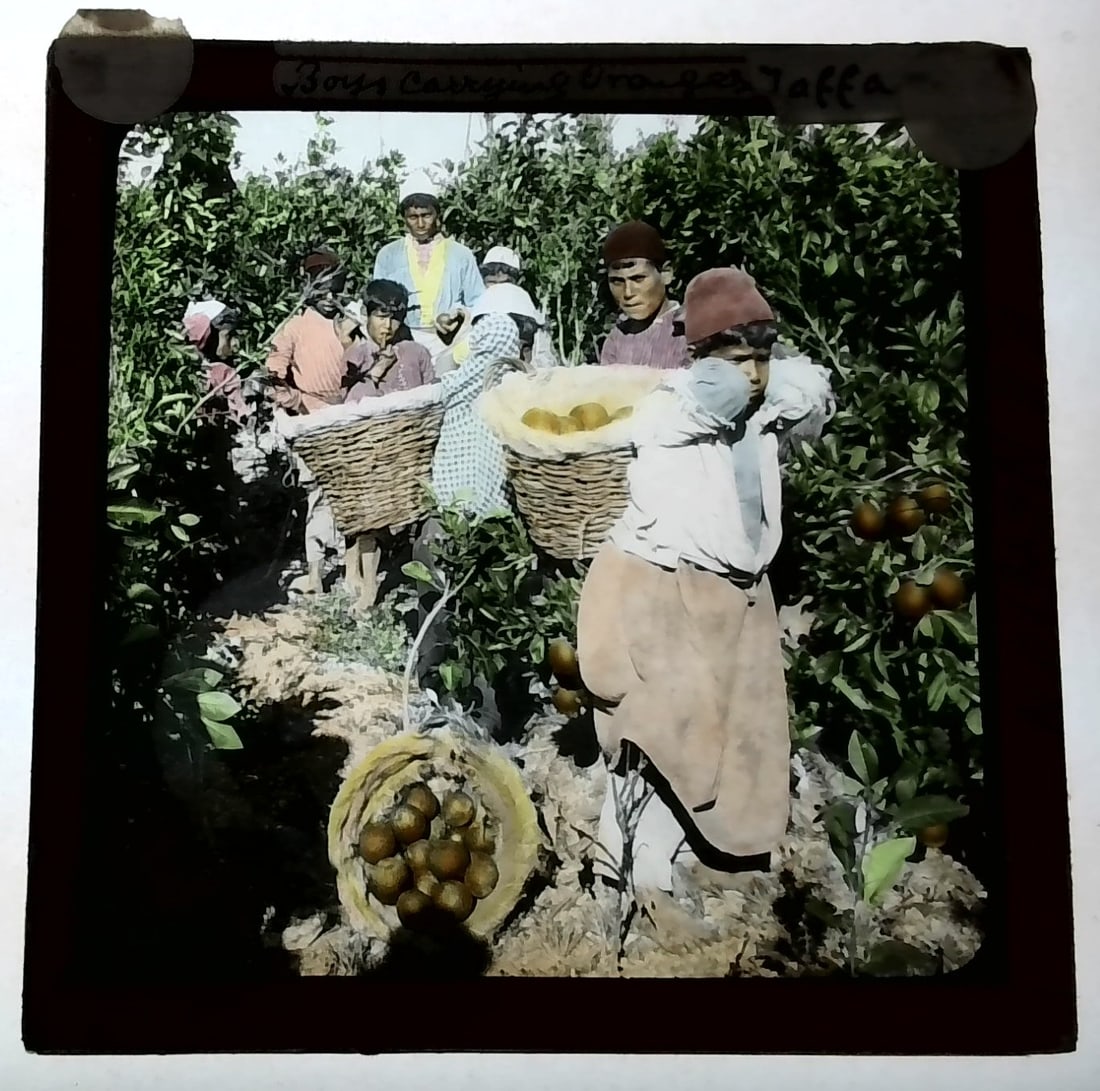 Boys Carrying Oranges in Jaffa 1880s-Early 1900s colored Magic Lantern Slide Identified (1 of 1)