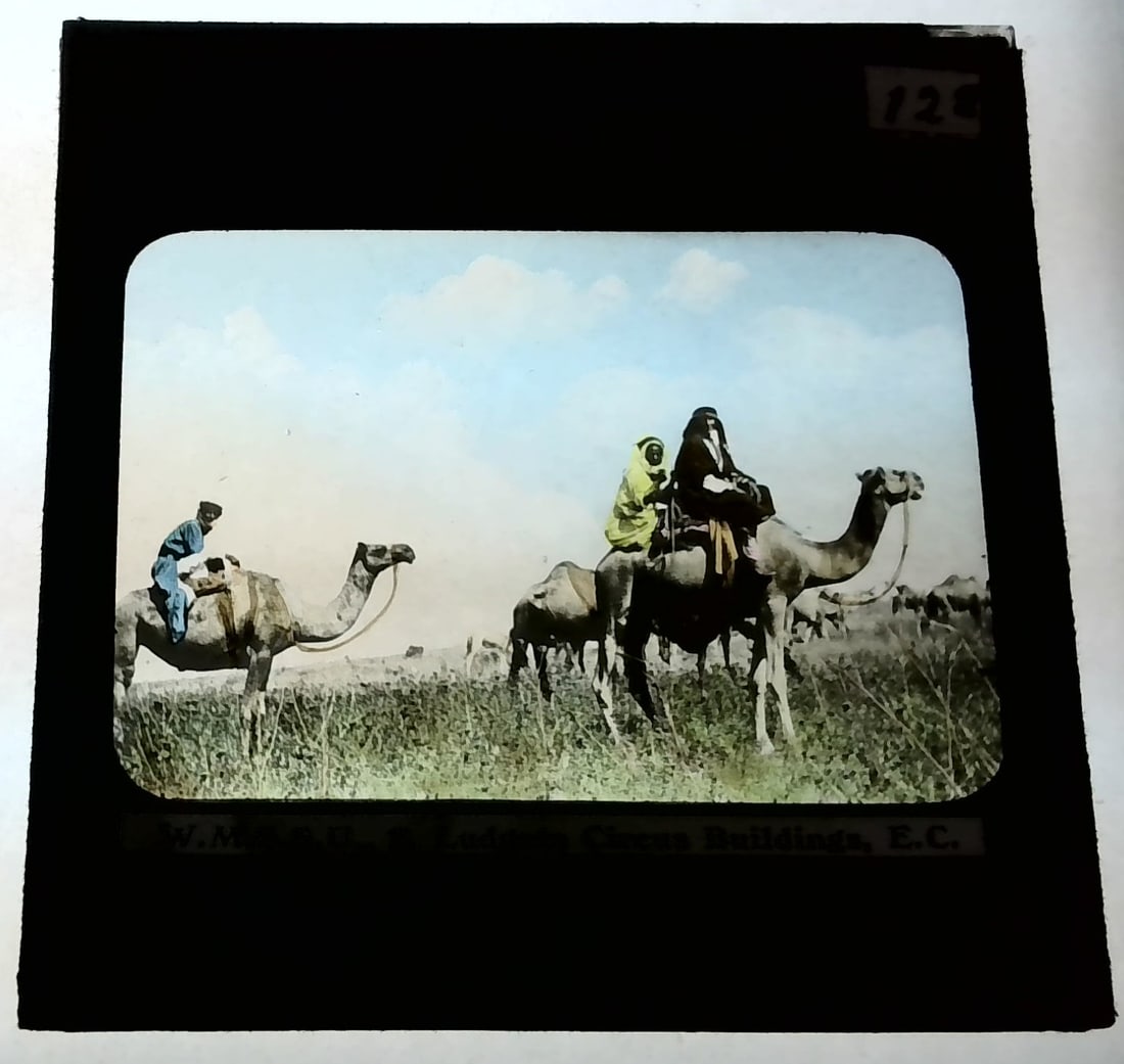 Women Camel Riders Jaffa 1880s-Early 1900s colored Magic Lantern Slide Identified: 1880s-Early 1900s Magic Lantern Slide Many Magic Lantern slides Available in Our Current Auction. Most Identified, Dating from the Early 1880s to the 1920s. Most Late 19th Century. Some are hand color