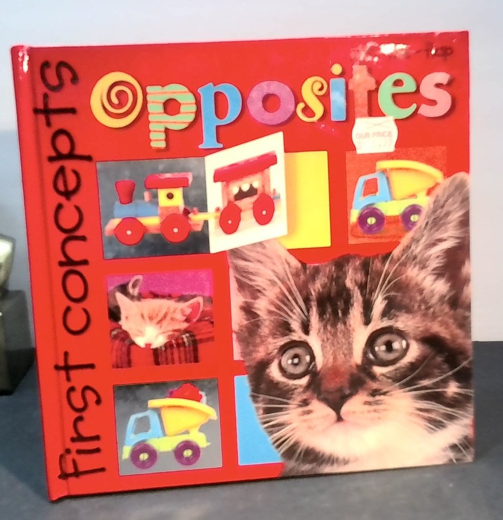 Priddy Bicknell First Concepts Opposites Book (1 of 7)