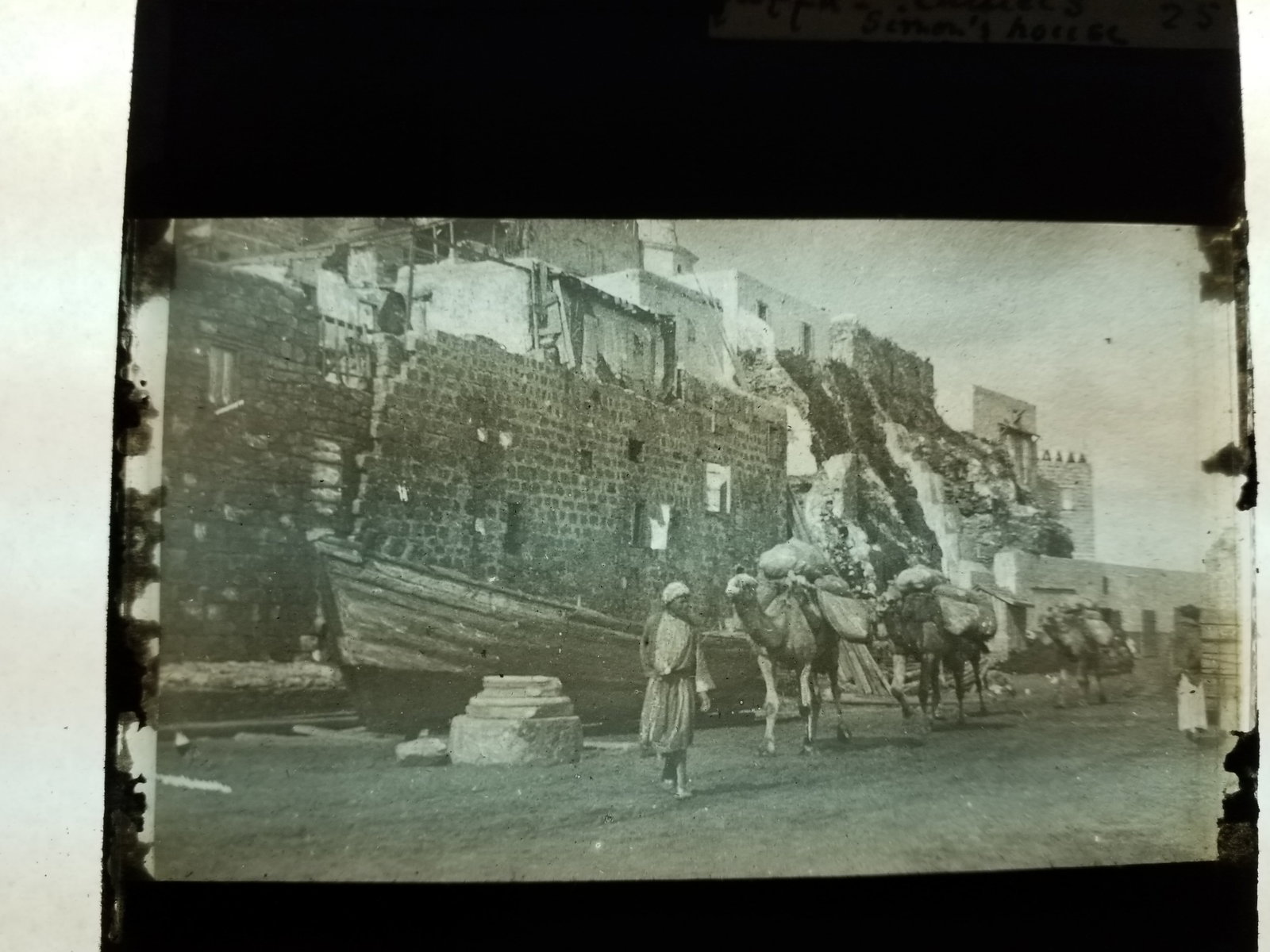 1880s Magic Lantern Slide Camels at Jaffe Walls Glass Photograh (1 of 1)