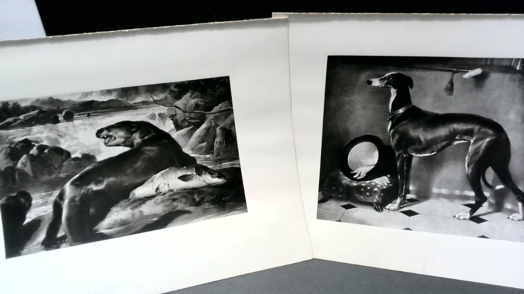 Vtg B&W Animal Photographic Prints Set (1 of 4)