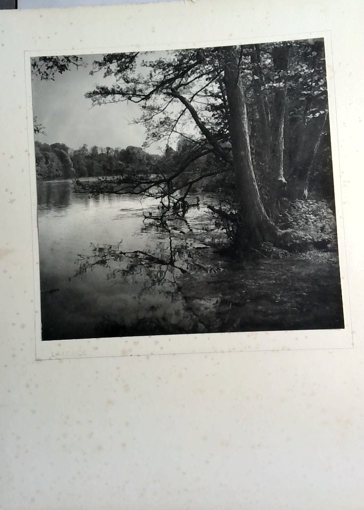 Lakeside Landscape Exhibition Photograph (1 of 5)