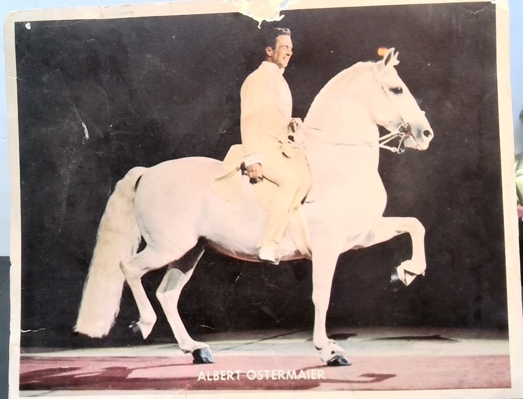 Vtg Albert Ostermaier Equestrian Photo: Vtg Color Photograph, Albert Ostermaier On White Horse, Equestrian Subject.