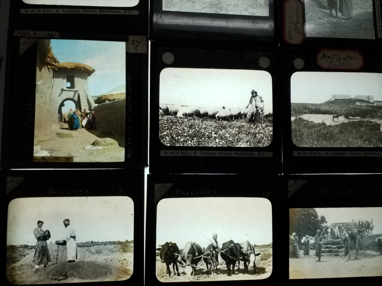 1870s An Exquisite Collection of 9 Magic Lantern Slides Holy Lands Westerners Fashion crypts etc (1 of 2)