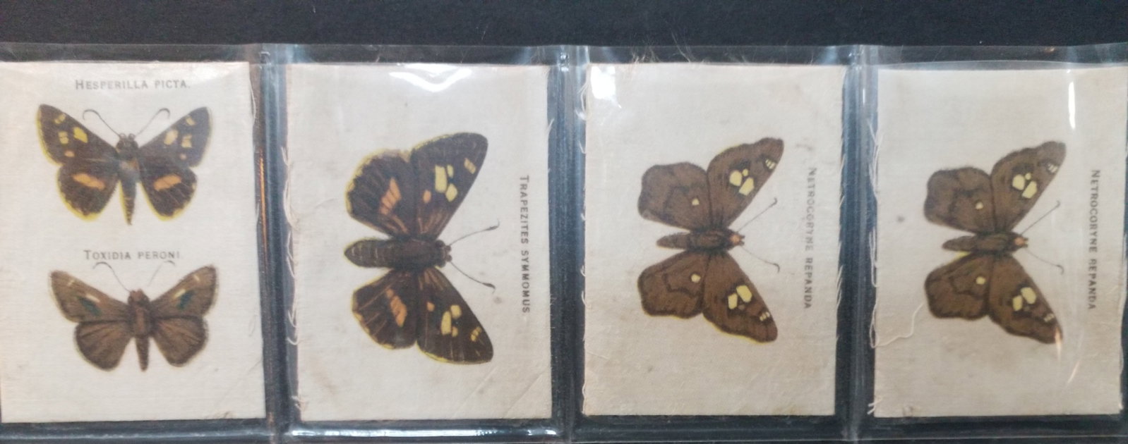 1910 Wills Tobacco Butterfly Silks A Stunning Sheet of Australian Butterflies lot of 4 silks (1 of 2)