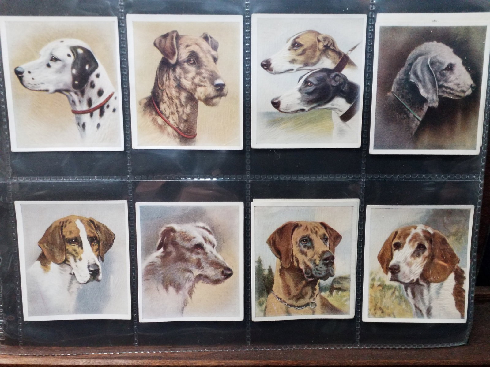 1939 Tobacco cards Our Dogs Godfrey Phillips Cigarettes Part Set 1936 VG+ approx 38 of 40 cards: this is a good portion of the set, , Original Tobacco cards collection in sheet protectors, These are original cigarette cards most predate the 1930s, some will have more wear than others. All are pre