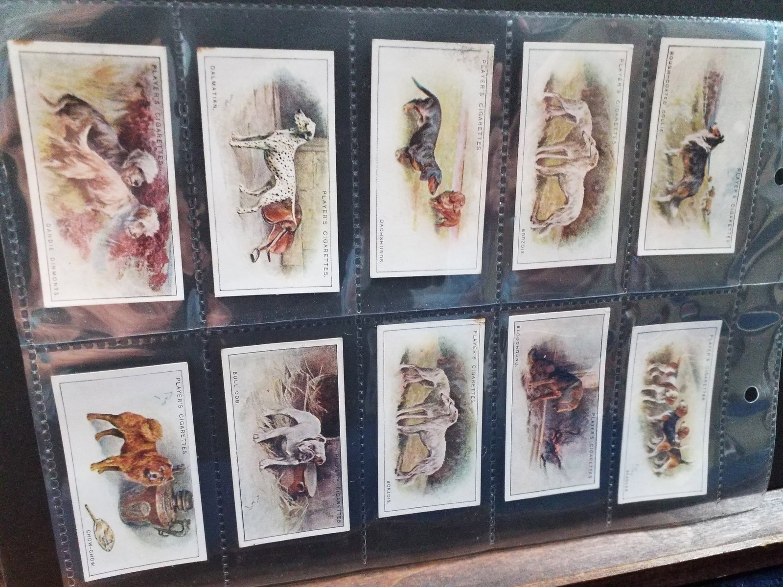 1938 Tobacco cards Dogs John Player Cigarette lot of 52 Cigarette cards (1 of 5)