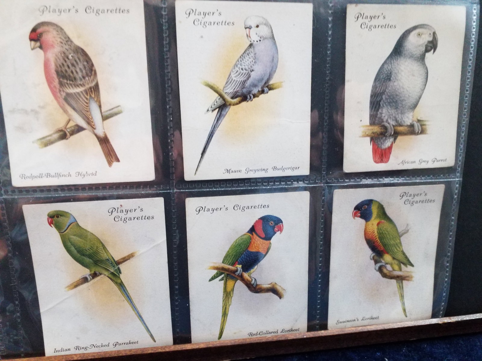 1933 Tobacco cards Aviary Caged Birds John Player Cigarette lot of 11 large format Cigarette cards (1 of 6)