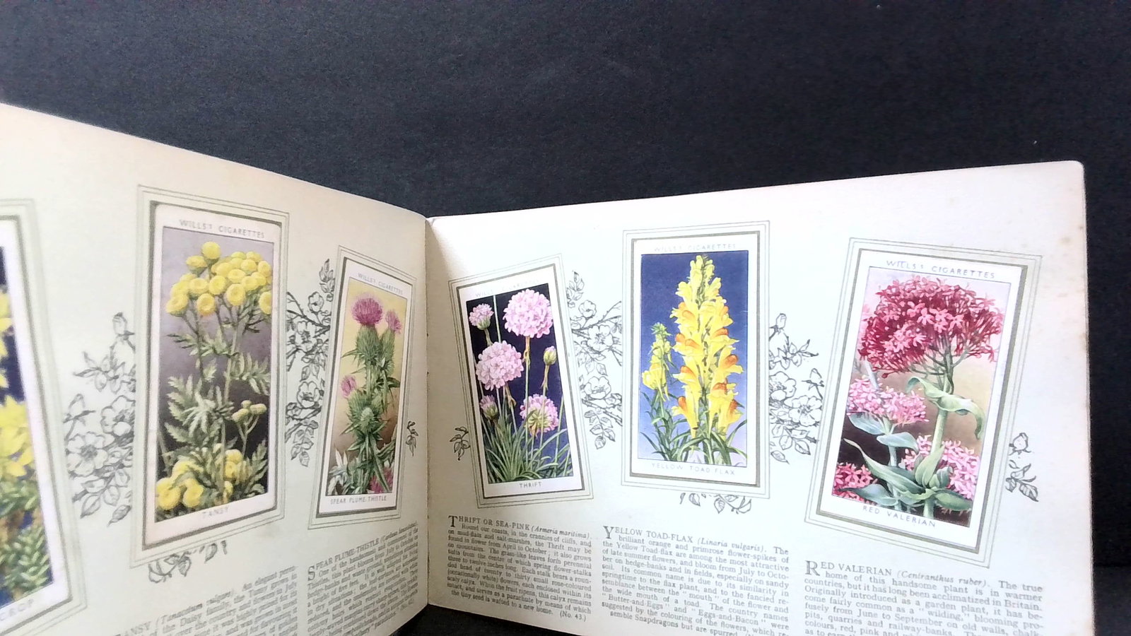 1937 Tobacco cards Wild Flowers Wills complete set of 50 Cigarette Cards: set of 50 cards, complete the set. This album was designed to affixed your cards in it. A neat unusual collection. Please view pictures for details and condition aspects.