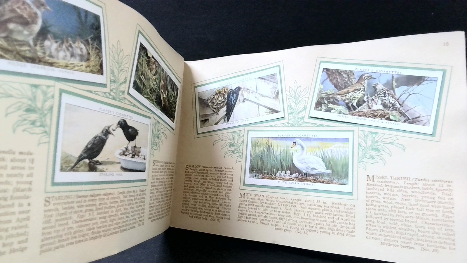 1937 Tobacco cards J. Player Birds and Their Young complete set of 50 Cigarette Cards: set of 50 cards, complete the set. This album was designed to affixed your cards in it. A neat unusual collection. Please view pictures for details and condition aspects.