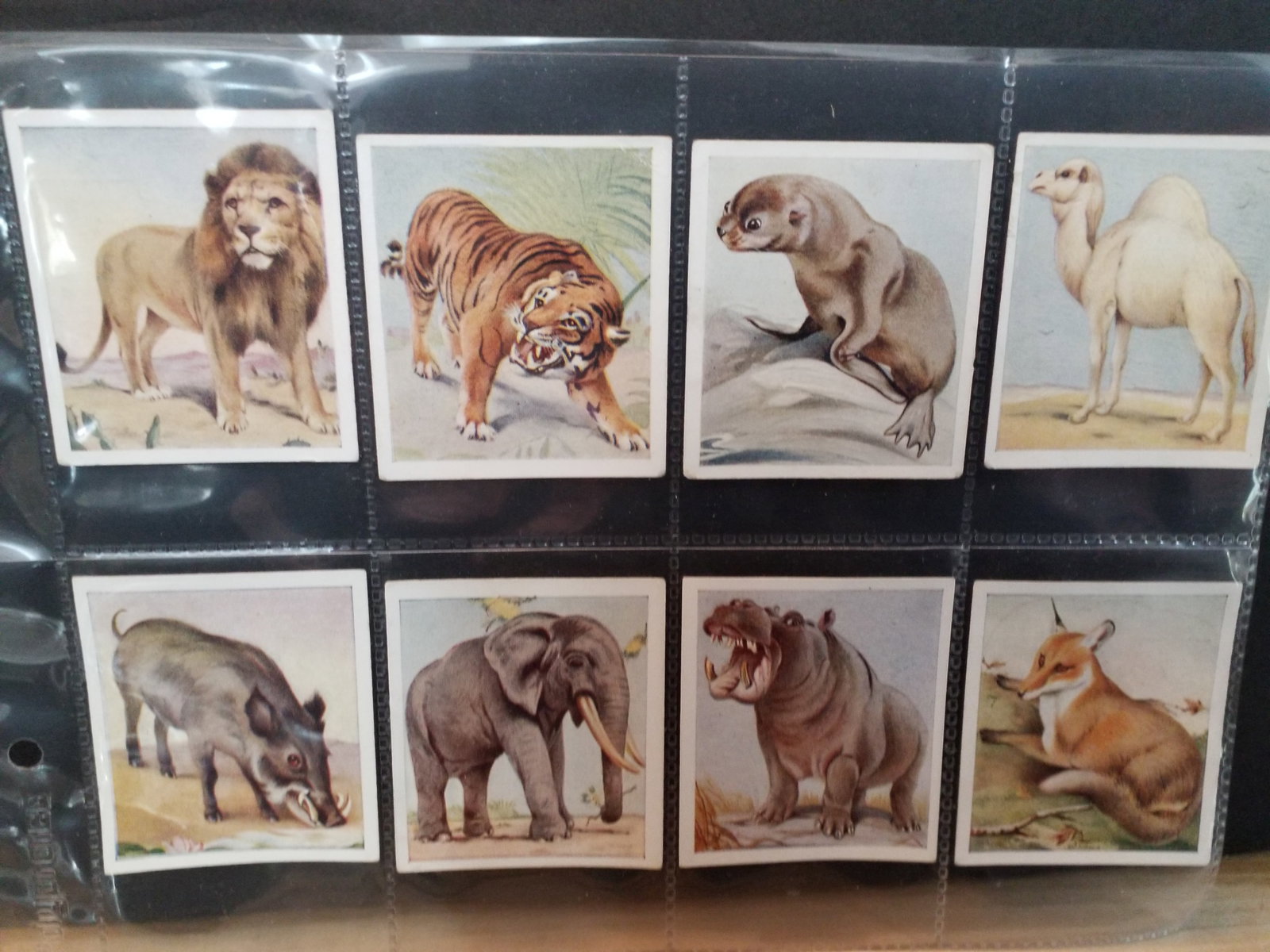 1930 Fantastic Large Assortment of Early Nature Tobacco cards , Unusual Cigarette cards makers shown: Over 100 original cards, 1920-30s part sets, nice sheeted original tobacco cards collection, in very good condition, Please view pictures
