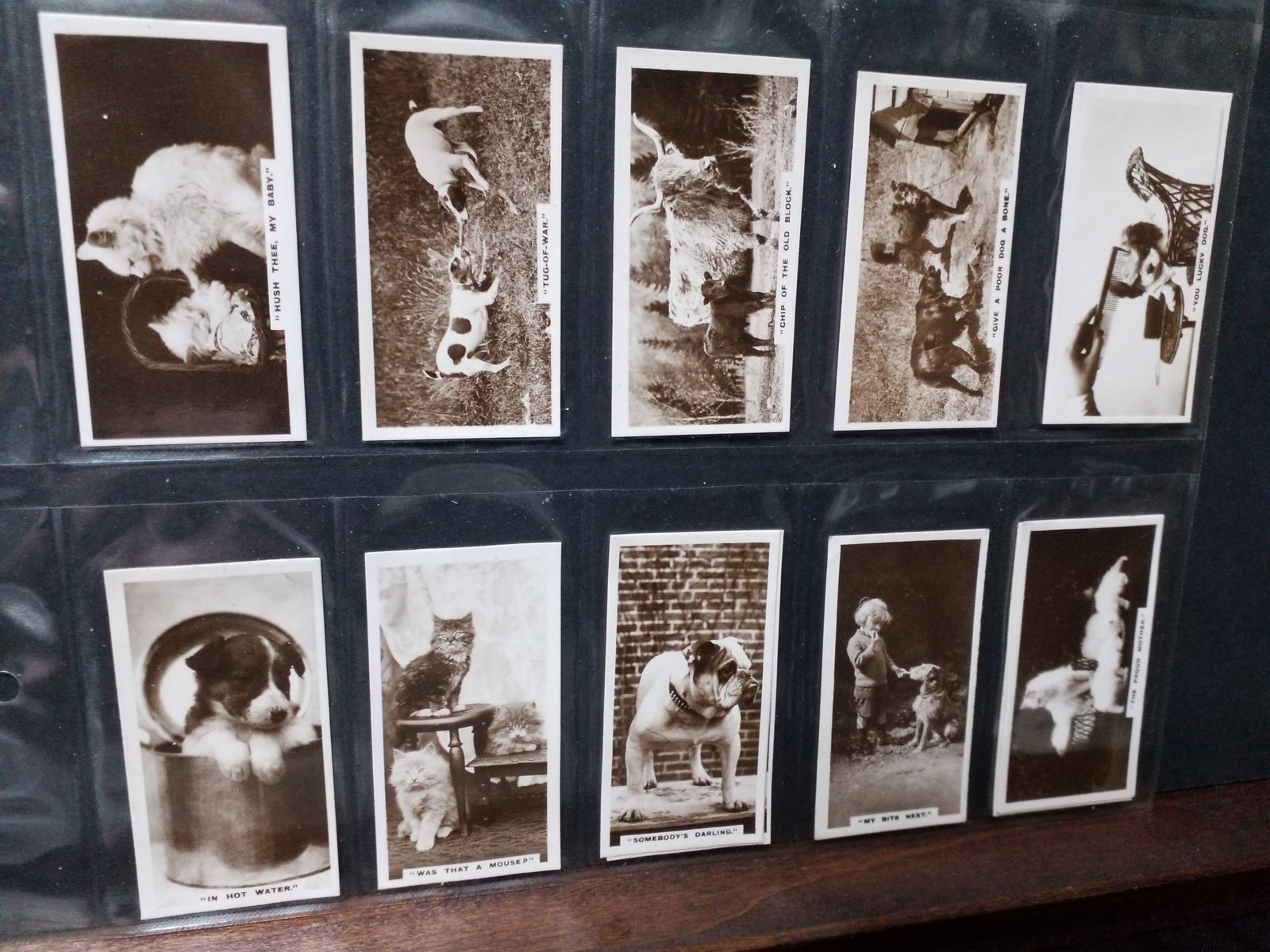 1924 Cigarette Tobacco cards Set De Reszke Real Photo Cats and Dogs 54 Count Set: Original Complete Sheeted Protected Set. In Very Good condition. Many other tobacco cards sets and collections available.