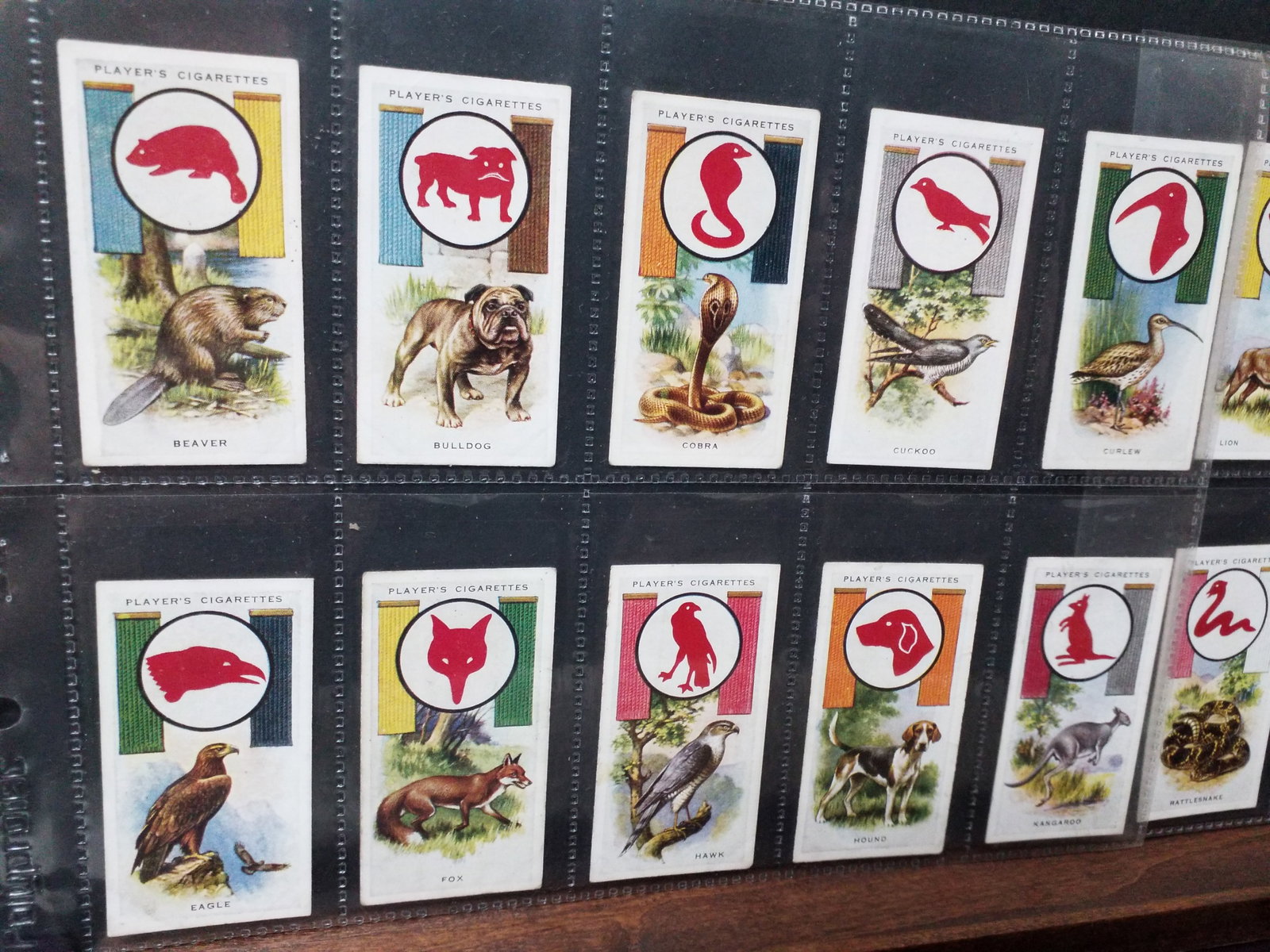 1933 Players Cigarette Cards Boy Scout & Girl Guide Patrol Signs & Emblems Complete 50 cards set (1 of 6)