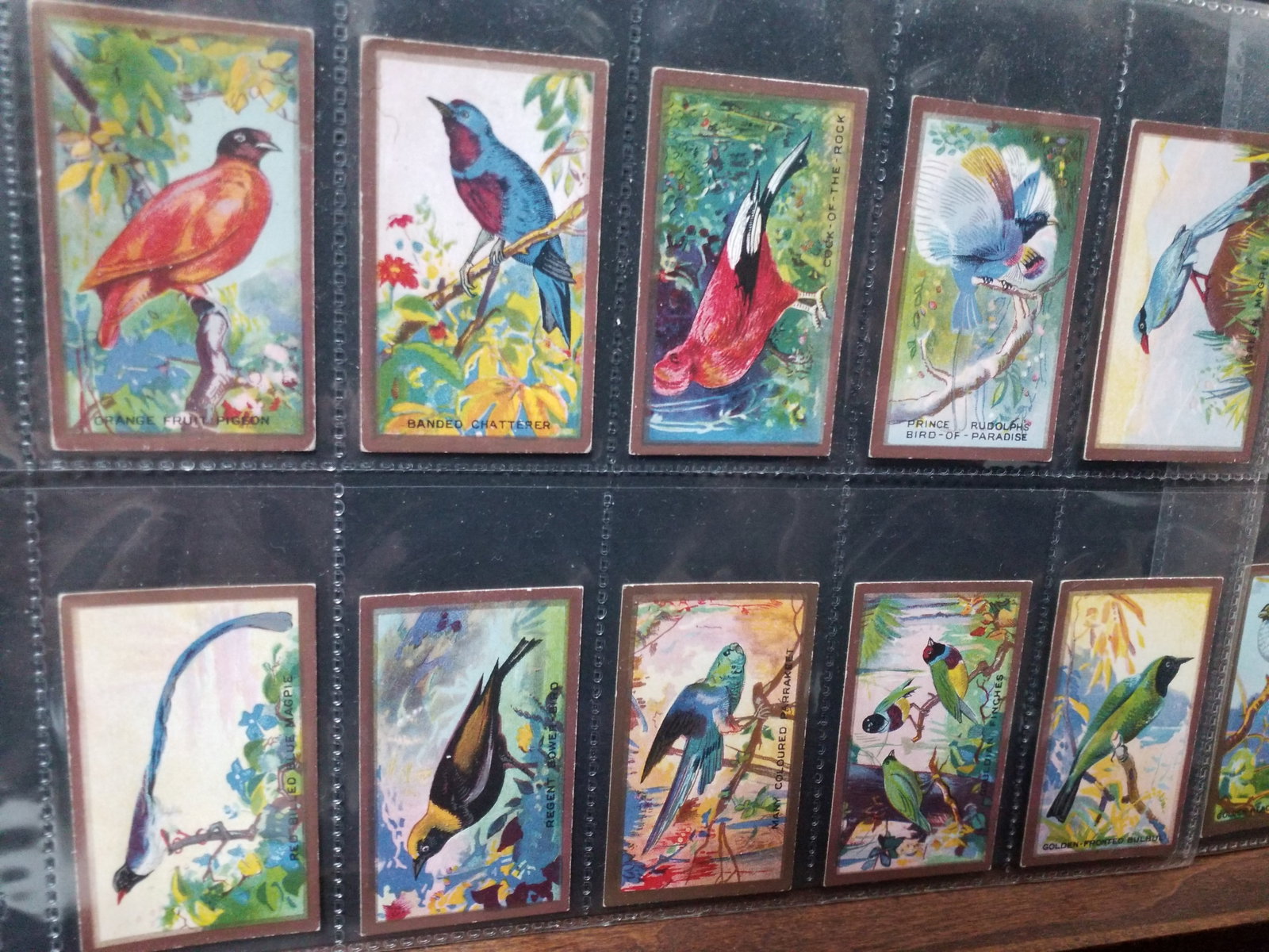 1920s Tobacco cards set ABDULLA FEATHERED FRIENDS SET 25 Watercolor Type Set Dazzling (1 of 4)