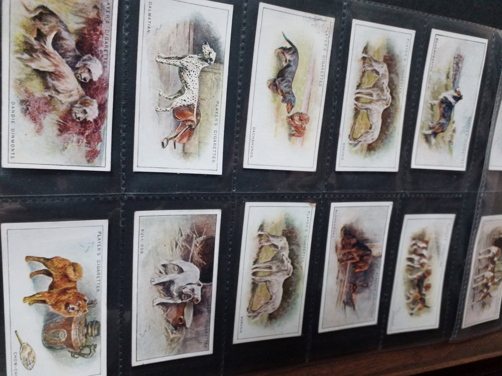 1925 JOHN PLAYER DOGS (SCENIC BACKGROUND COMPLETE 50 Cigarette CARDs SET: Original Set, Nice sheeted complete set, More tobacco cards sets, collections and lots available. In Vg Condition.