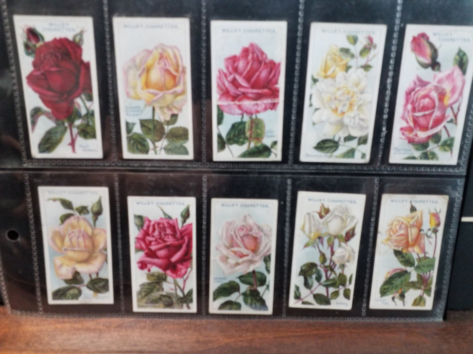 Tobacco cards 1914 W.D. & H.O. WILLS CIGARETTES ROSES 2ND SERIES lot of 30 of 50 cards: Original Tobacco cards. Although not a set you have A good start on completing this set here. With some duplication. Many of these cards are quite desirable. A nice sheeted collection. In protector sh