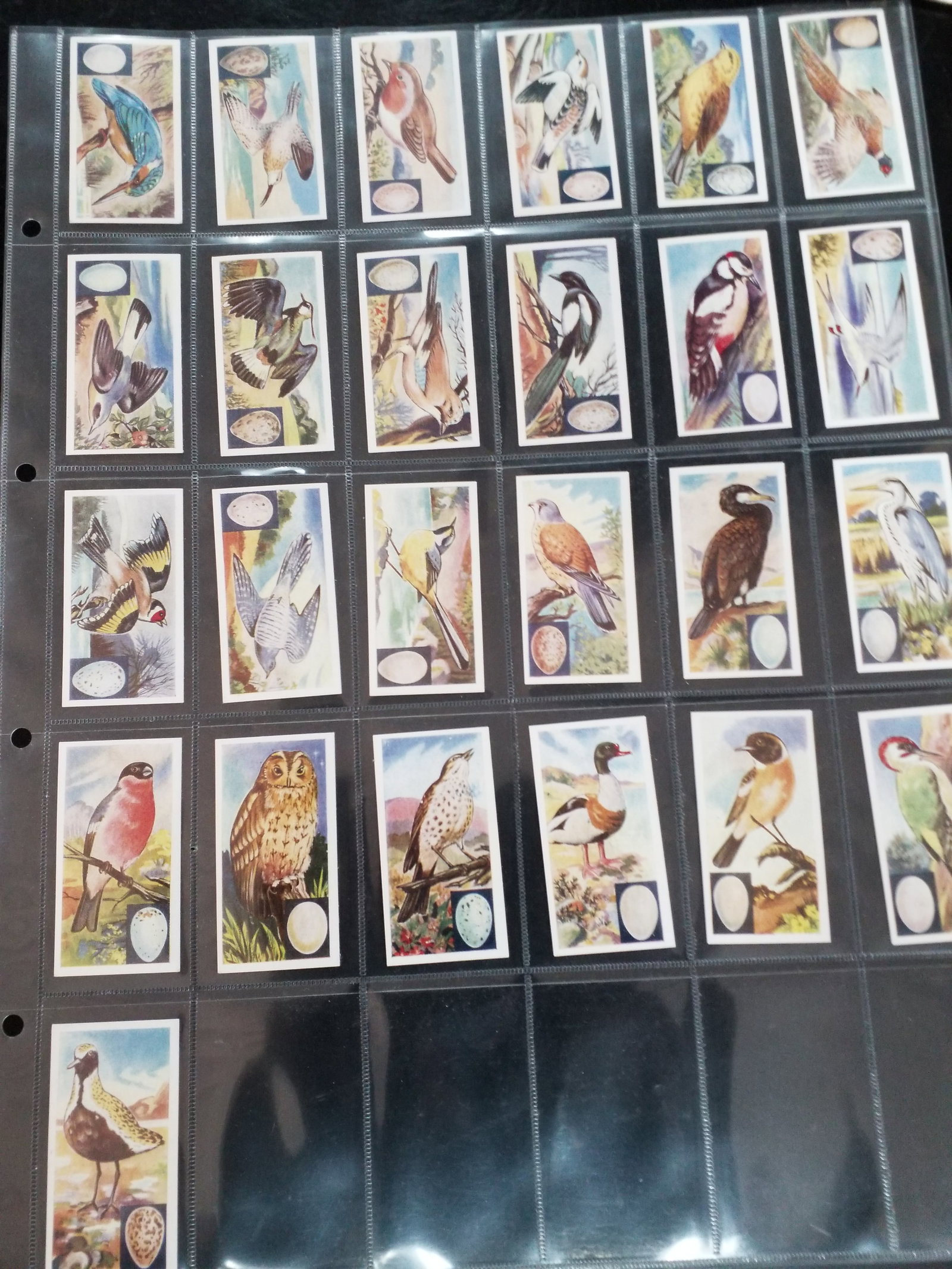 1960 Tobacco cards Set Birds by Barratt Bassett & Co. Original complete 25 cards set. Excellent (1 of 4)