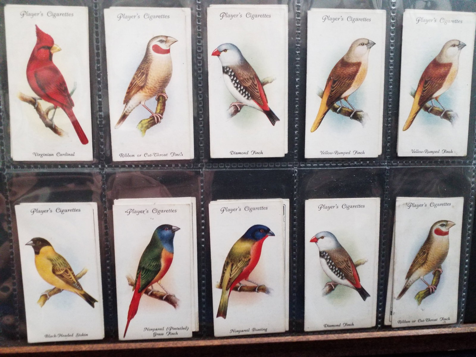 80 Cigarette Cards 1933 Aviary and Caged Birds John Players A Large Lovely Collection (1 of 8)