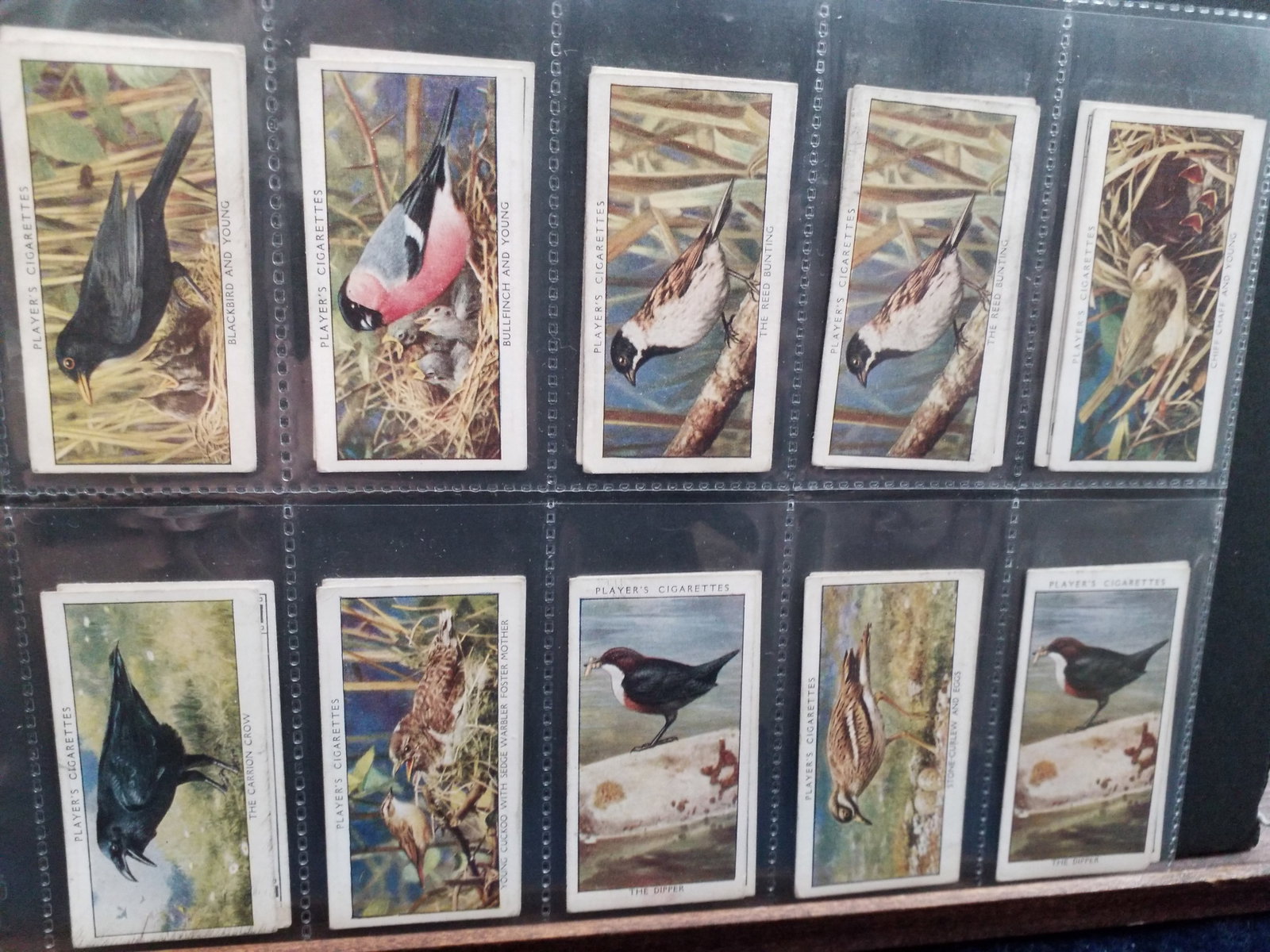 75 Original Cigarette Cards 1932 Wild Birds John Players A Large Lovely Collection (1 of 7)