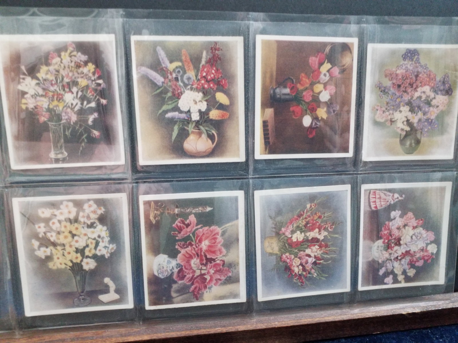 1937 Flower Studies Godfrey Phillips Tobacco Cards 26 of 30 Cigarette cards real photo part set (1 of 4)