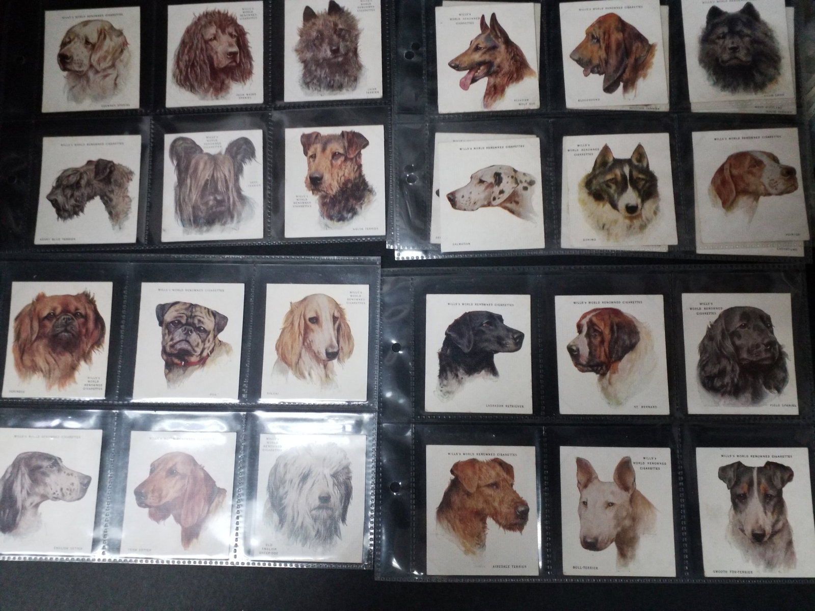 1925 Dogs Wills Tobacco Large Format Cigarette tobacco cards Near set 30 cards (1 of 4)