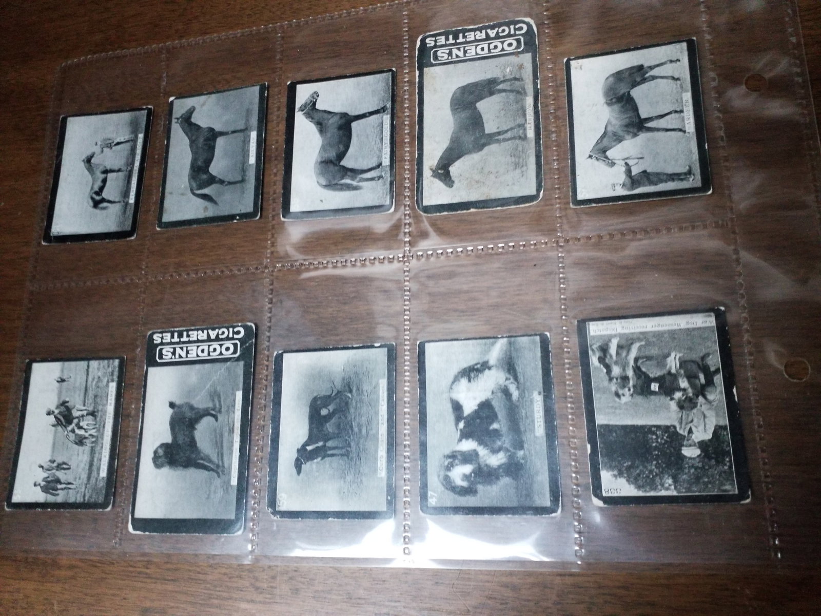 A turn of the Century Collection of 10 Ogdens Cigarette cards from 1902 Famous Race horses etc. (1 of 3)