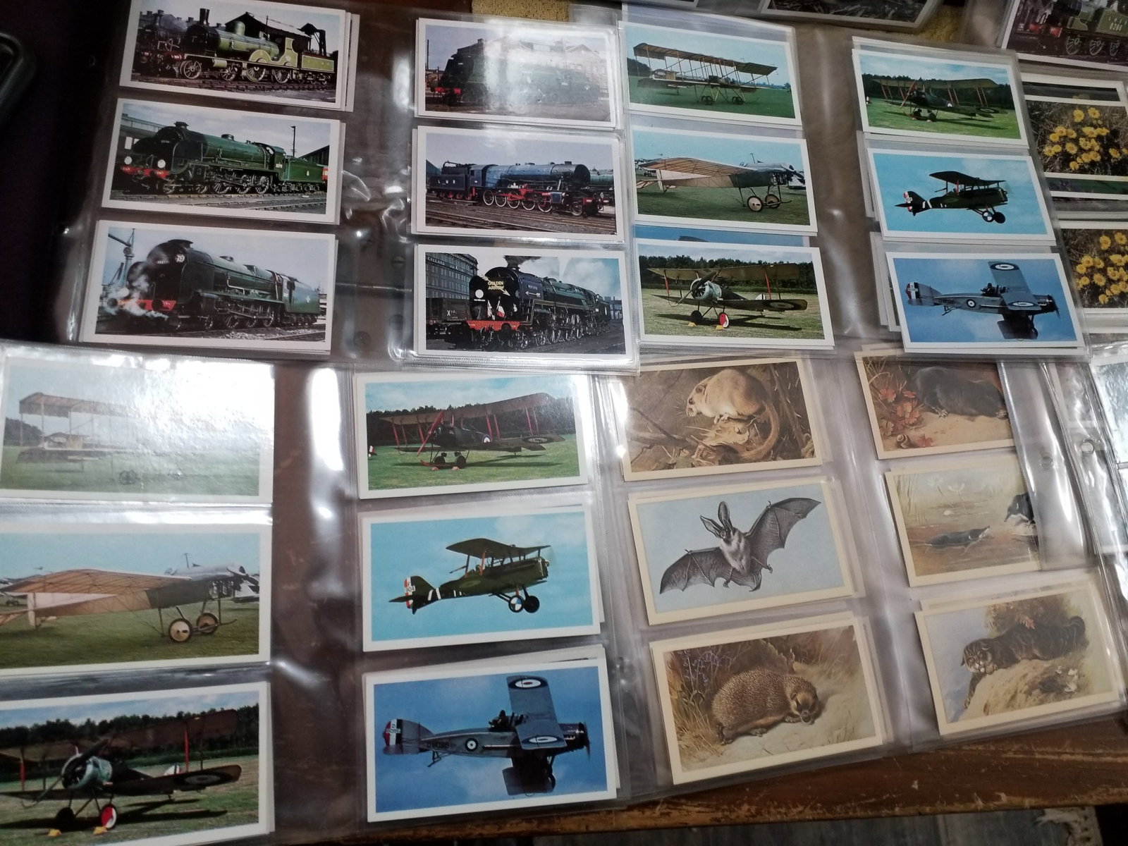 Large lot of approx 10 Cigar Cards Original Sets Doncella Grandee etc (1 of 7)