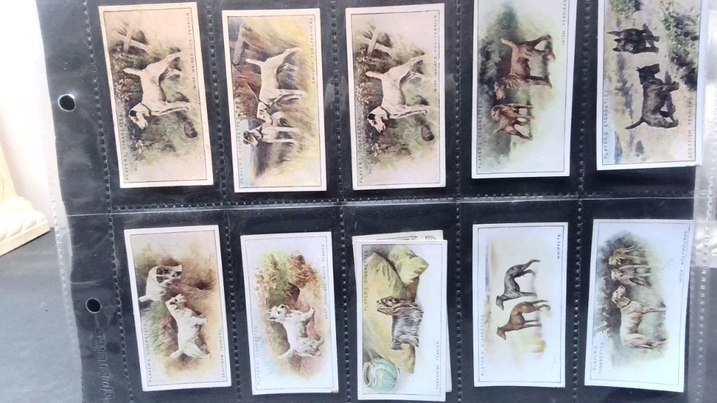 W.D. & H.O. Wills Dogs Cigarette Cards: W.D. & H.O. Wills Dogs Cigarette Cards, Series Of 50, Color Illustrations, Protective Plastic Binder Pages.
