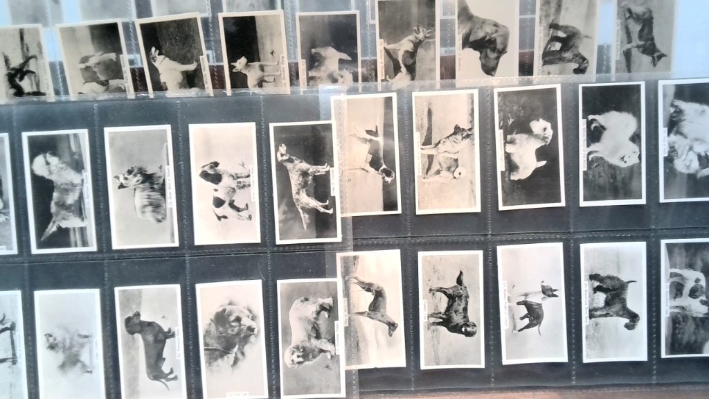 John Sinclair Champion Dogs Trading Cards: John Sinclair Ltd Champion Dogs A Series Of Real Photos, Black & White Illustrations, Protective Plastic Binder Pages.