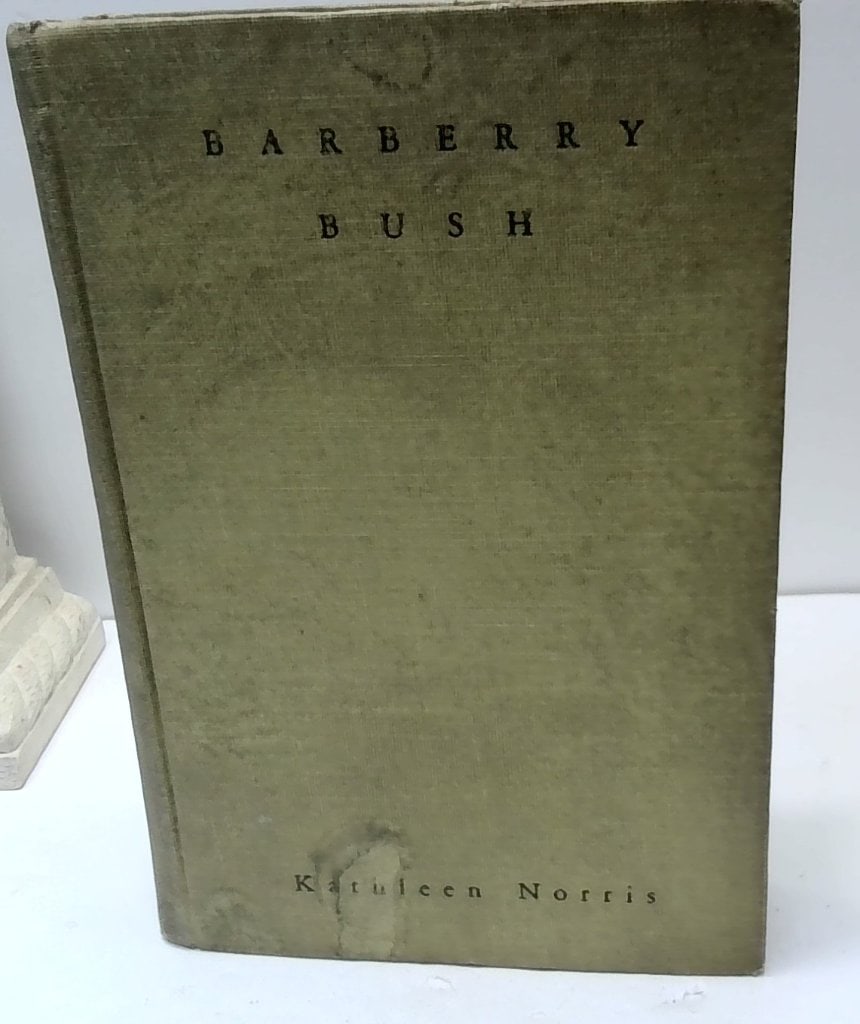 Kathleen Norris Barberry Bush 1927 First Edition (1 of 4)