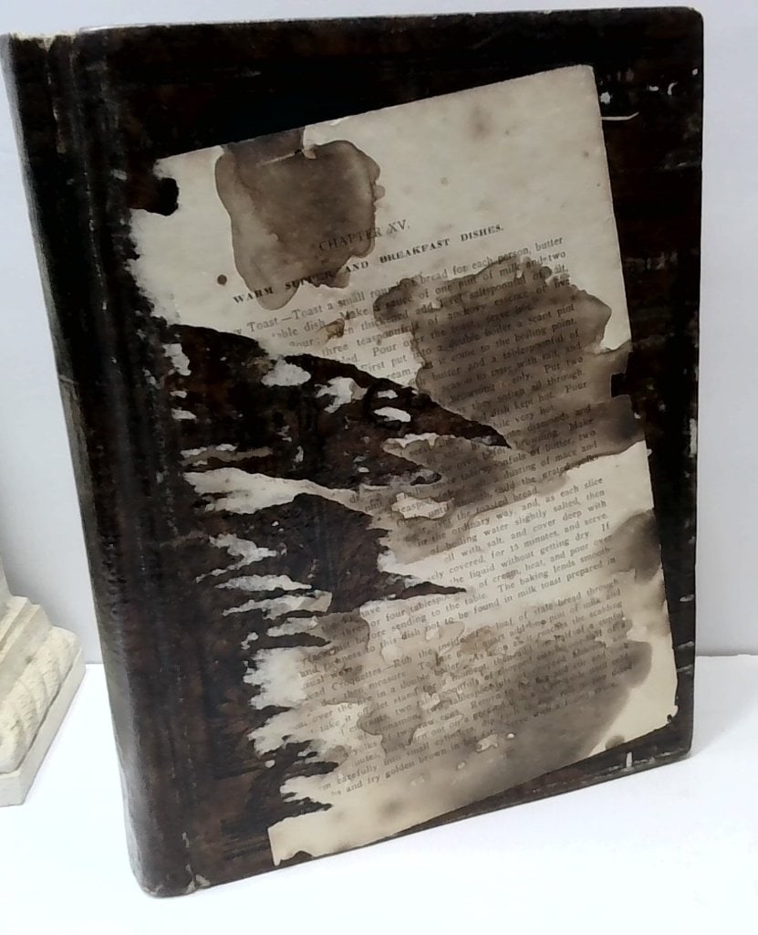 Dr. Chase's Receipt Book 1887: Dr. Chase's Receipt Book And Household Physician, Memorial Edition, 1887, Standard Publishing Co., Philadelphia, Hardcover, Illustrated, Medical And Culinary Reference.