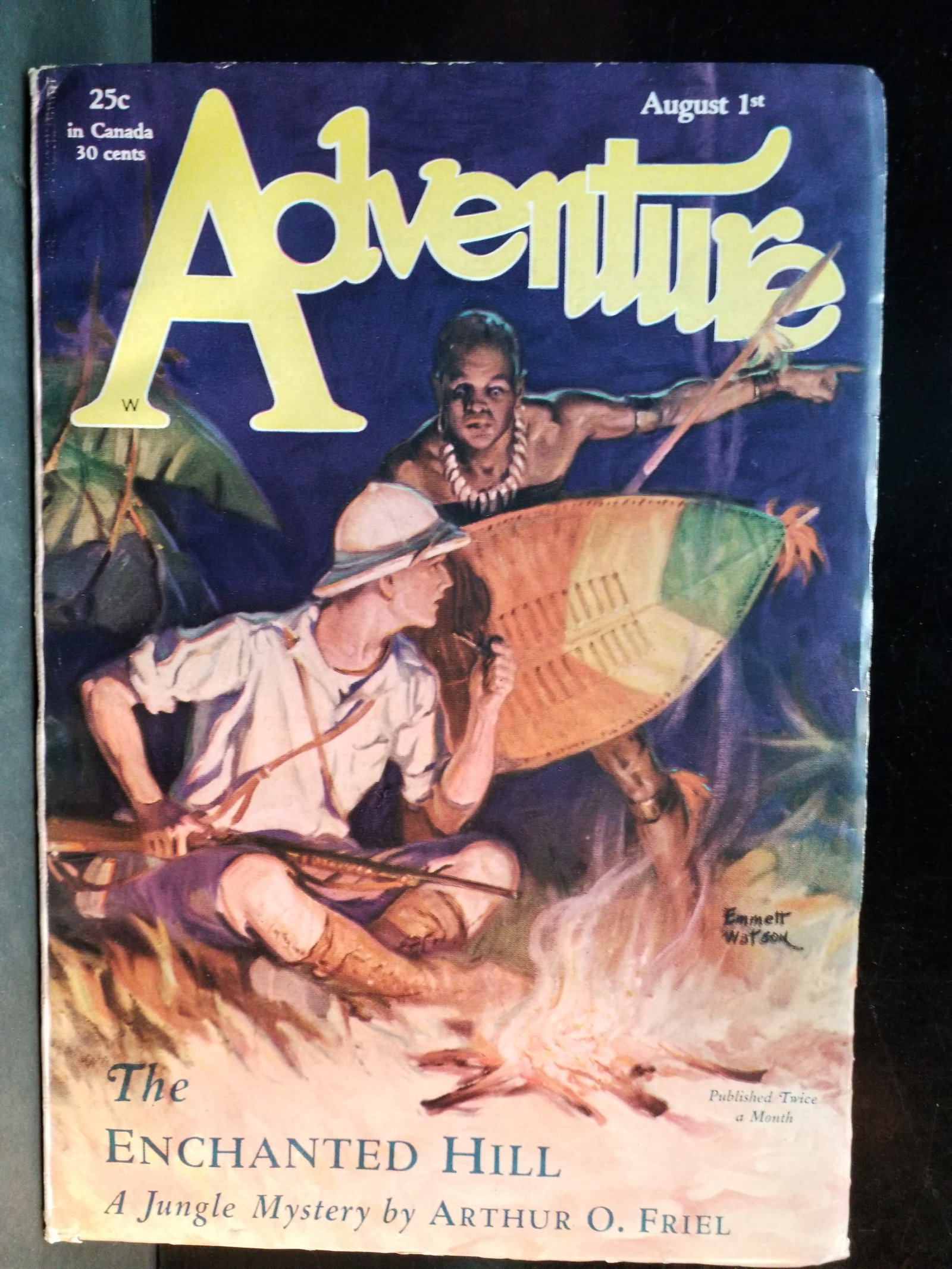 Aug. 1929 Original Adventure Pulp The Enchanted Hill a Jungle Mystery by Arthur Friel VF-F+ (1 of 1)